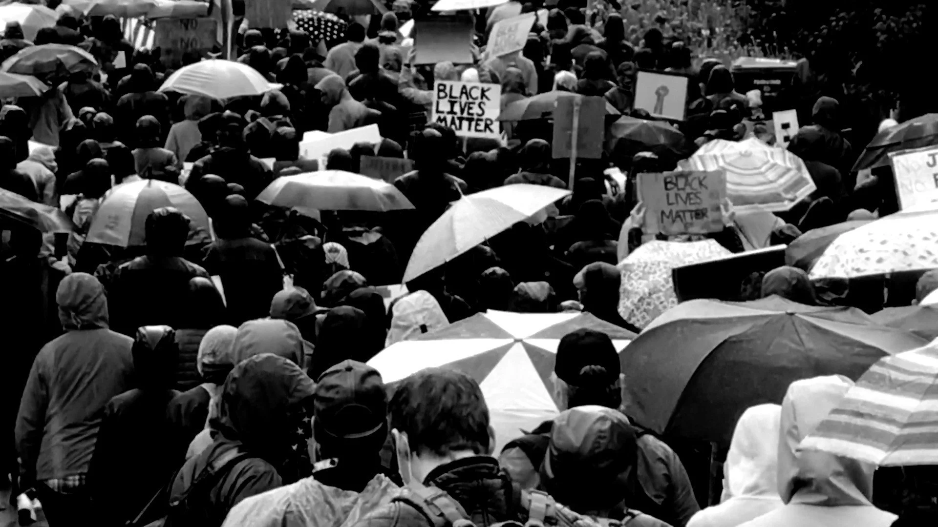 Slow Revolution - Rustin Thompson