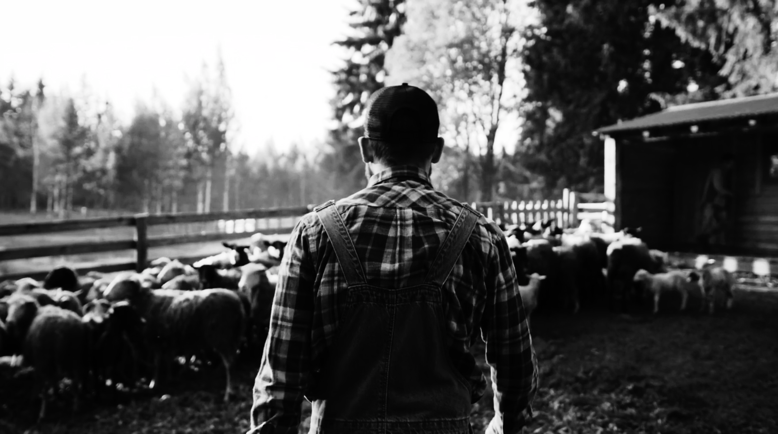 Red Harvest - Dustin Morrow 