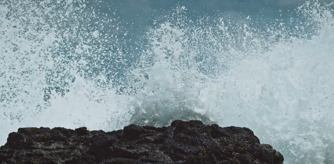 WAVES - J. Rick Castañeda