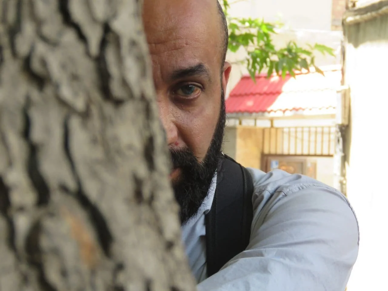 The Book - Farzad Foroughi