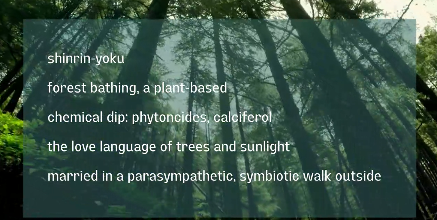 LOOK UP - Tamara Kaye Sellman