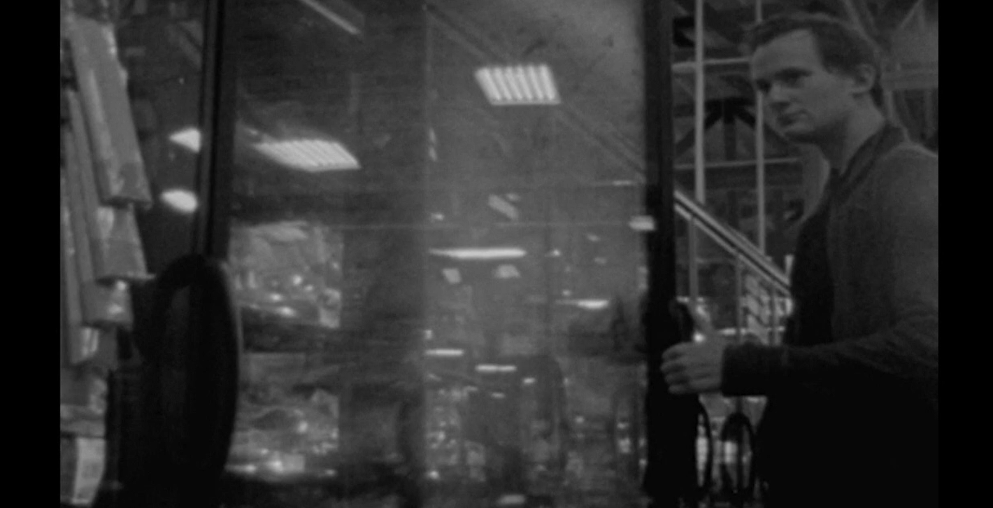 Paranoia - Izabel Babic