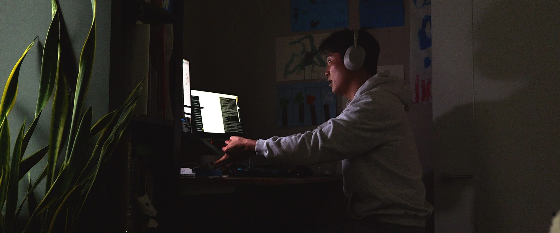 disconnect - Michael Kenji Mathews