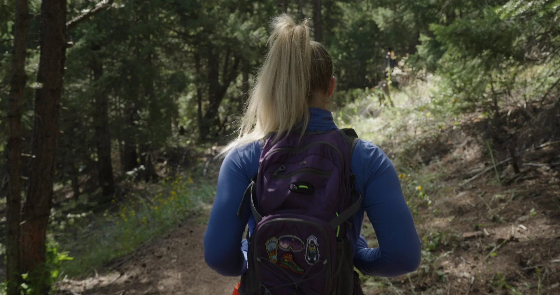 All Kinds of Animals - Becky Sayers