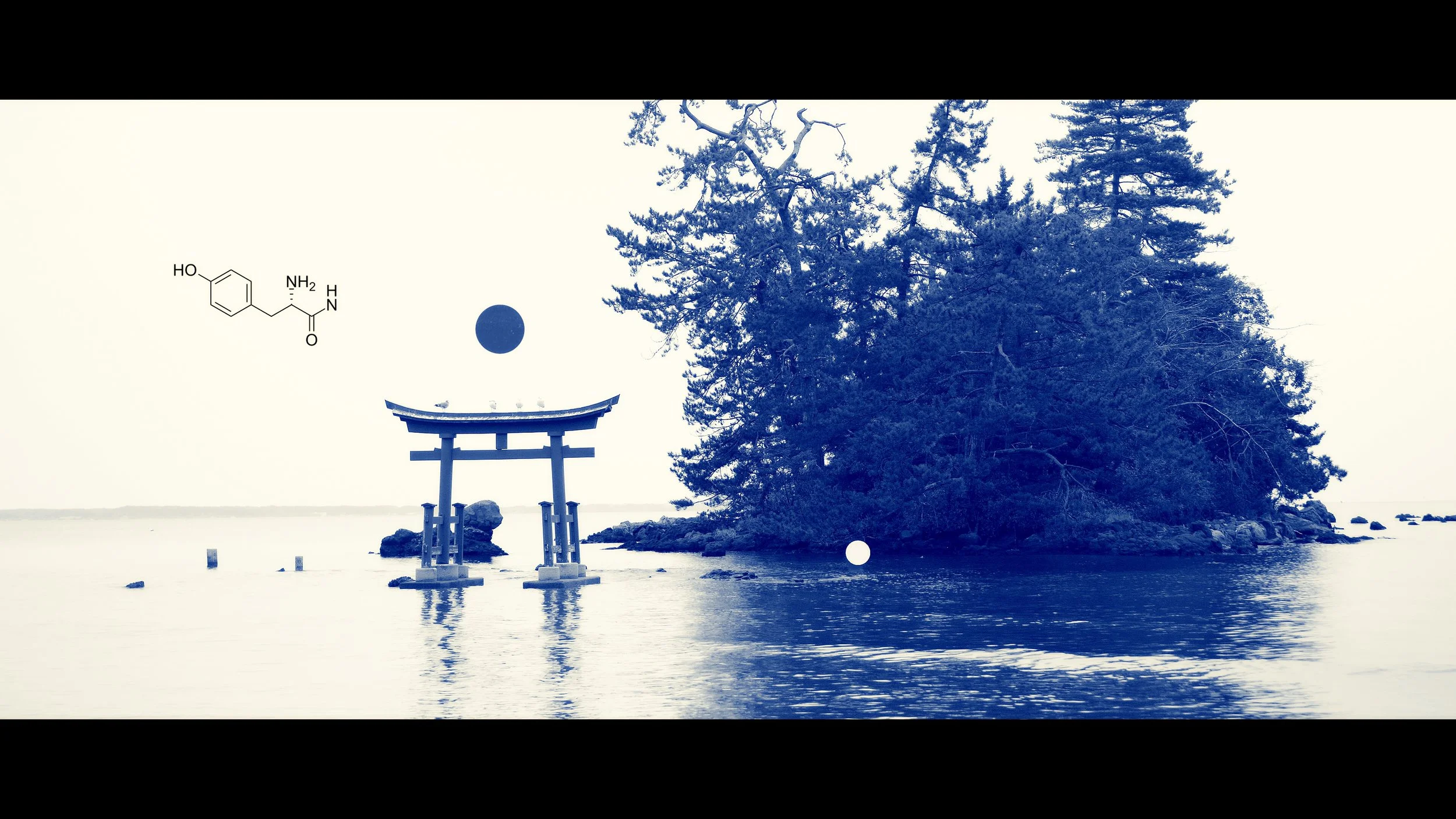 Torii - Martin Gerigk 