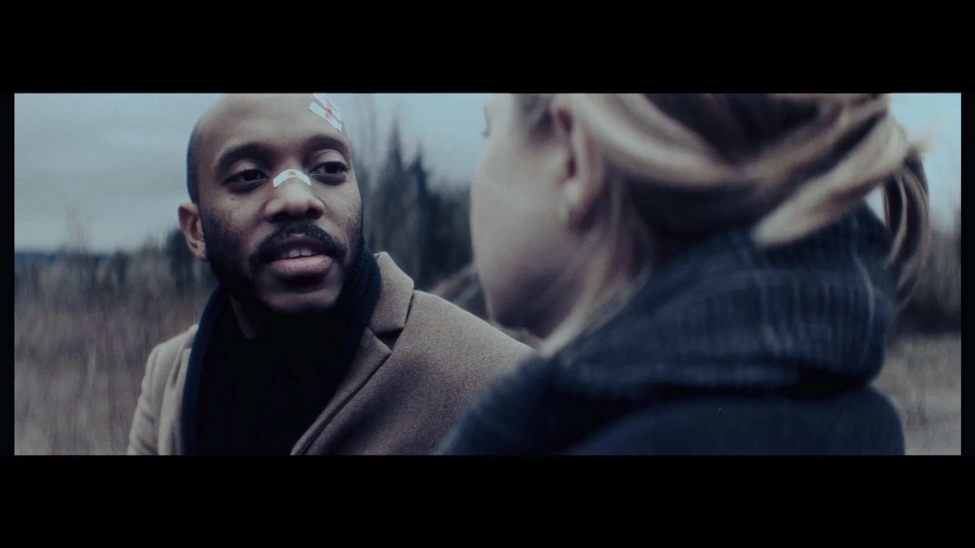 Molehill - Eliott Glasser