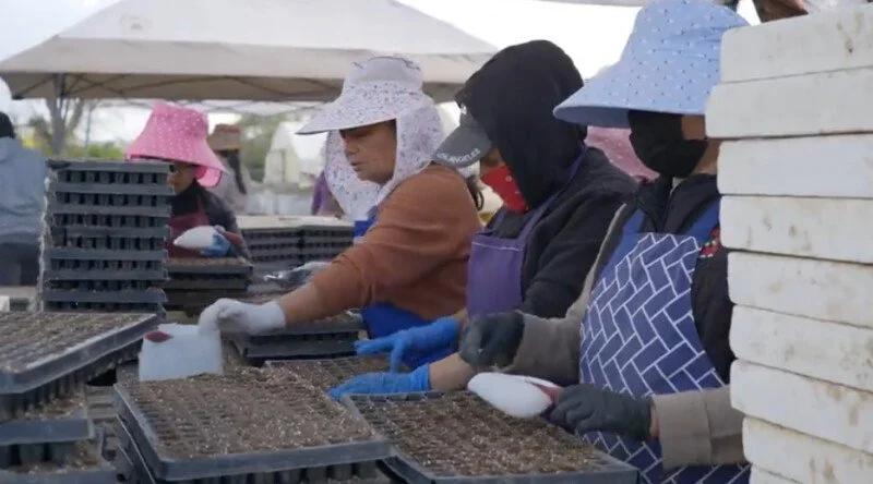 Farming on the Brink