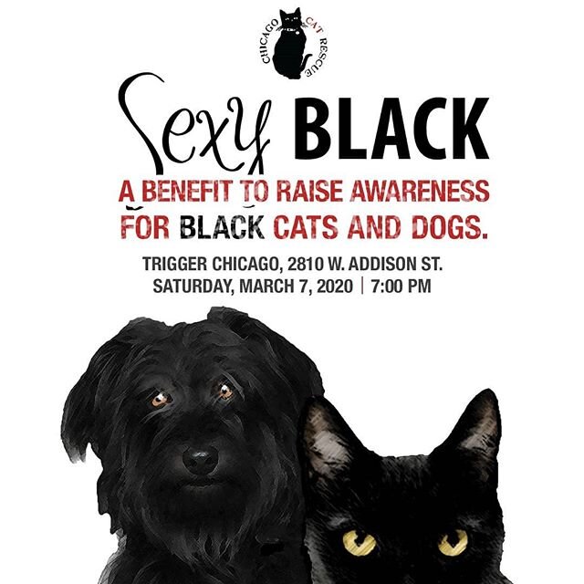 Get your tails wagging because SexyBLACK 2020 is back! 
We can&rsquo;t wait to see you at our 12th Annual benefit that helps raise awareness to the plight of black cats and dogs.

Grab a drink from the open bar, dance to the rhythm of our DJ and take