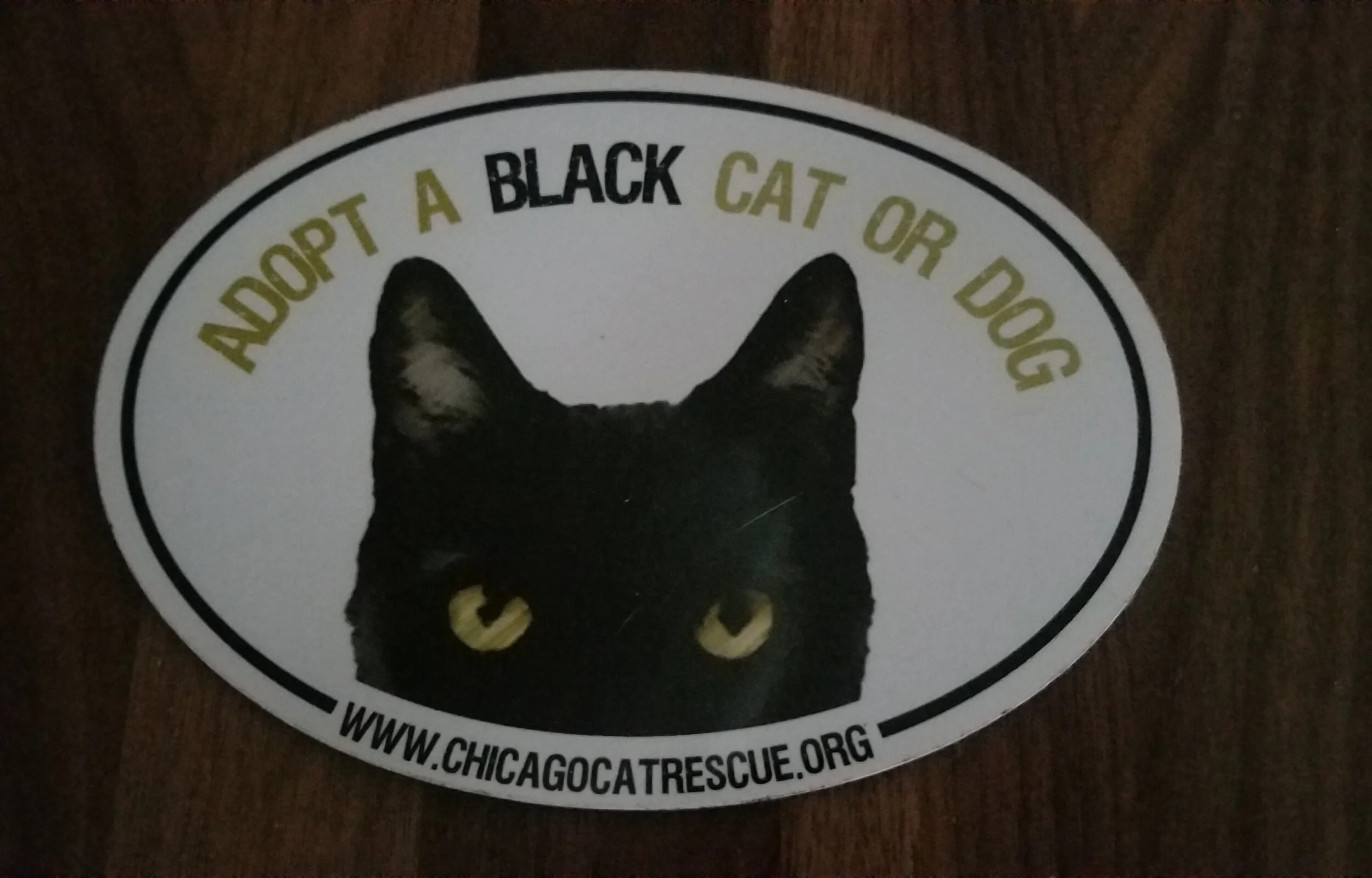 Car Magnet.jpg
