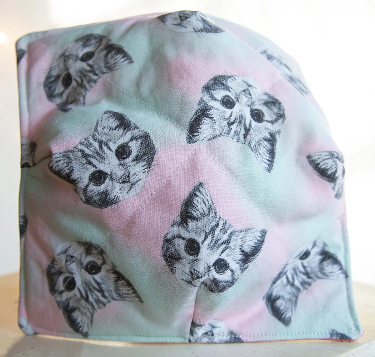 Baby Cat Cozy.jpg