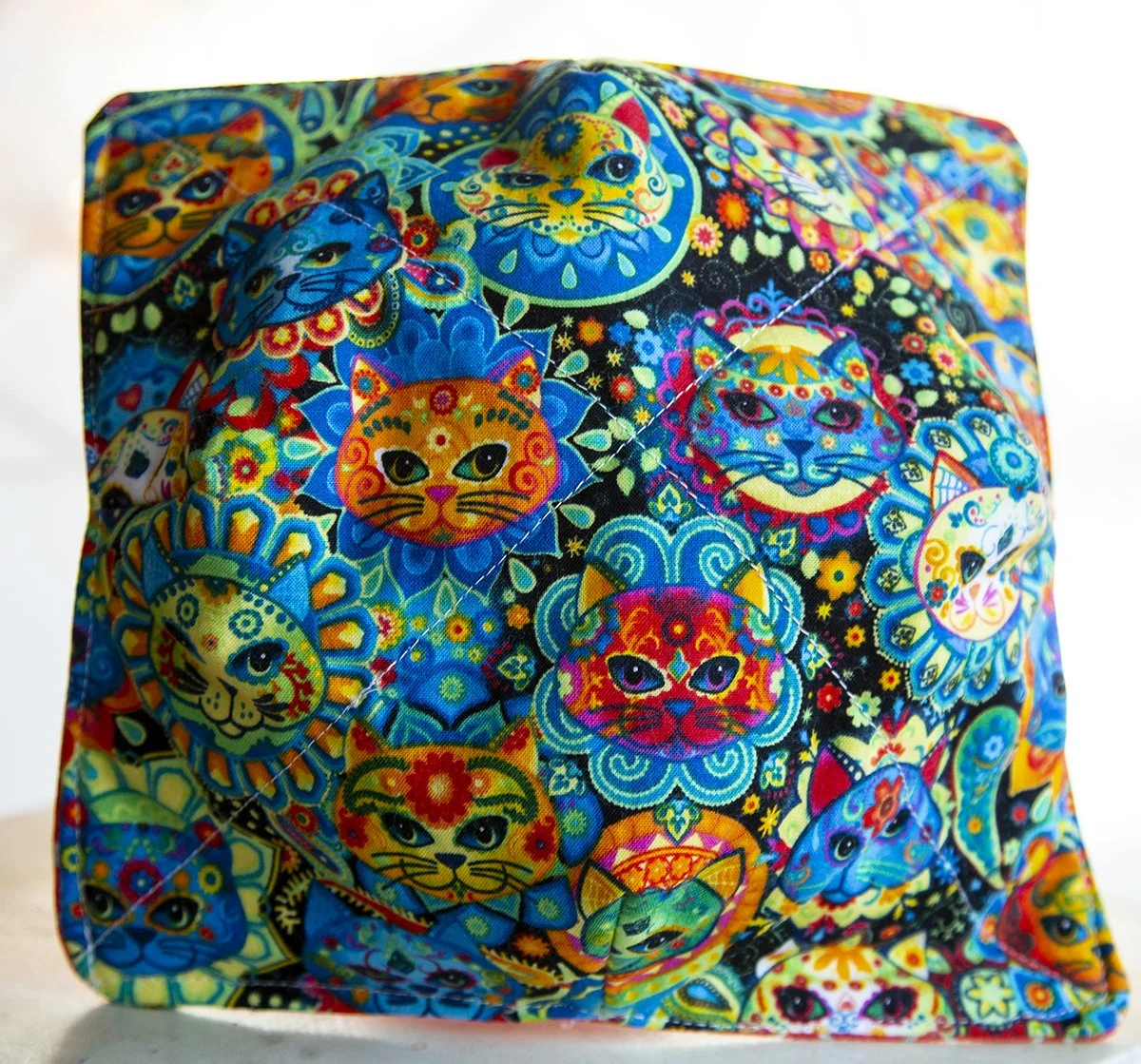 Psychedelic Cat Cozy.jpg