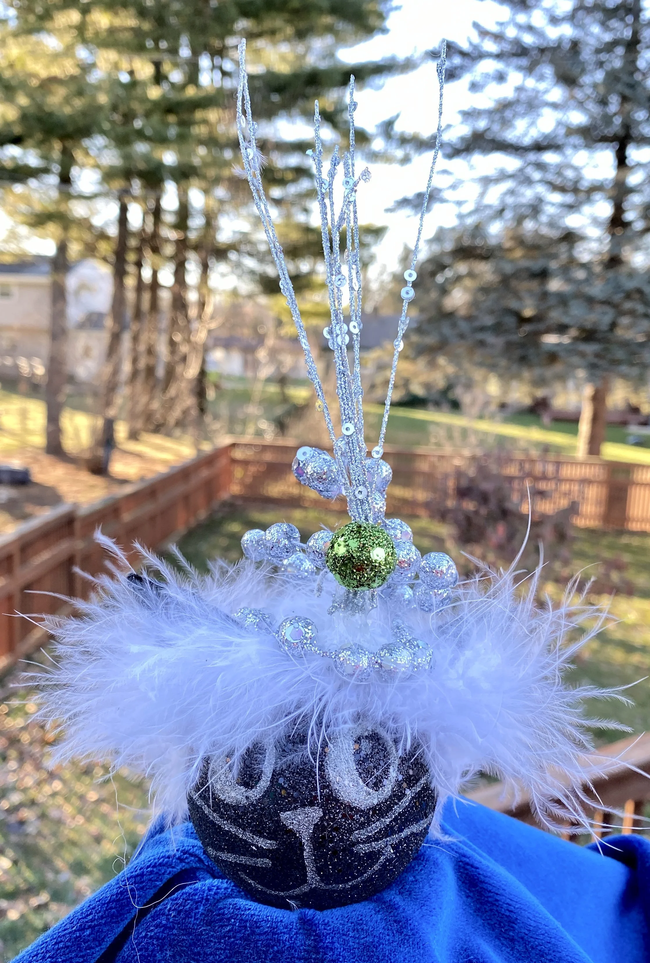 Sparkle Ball Cat.JPG