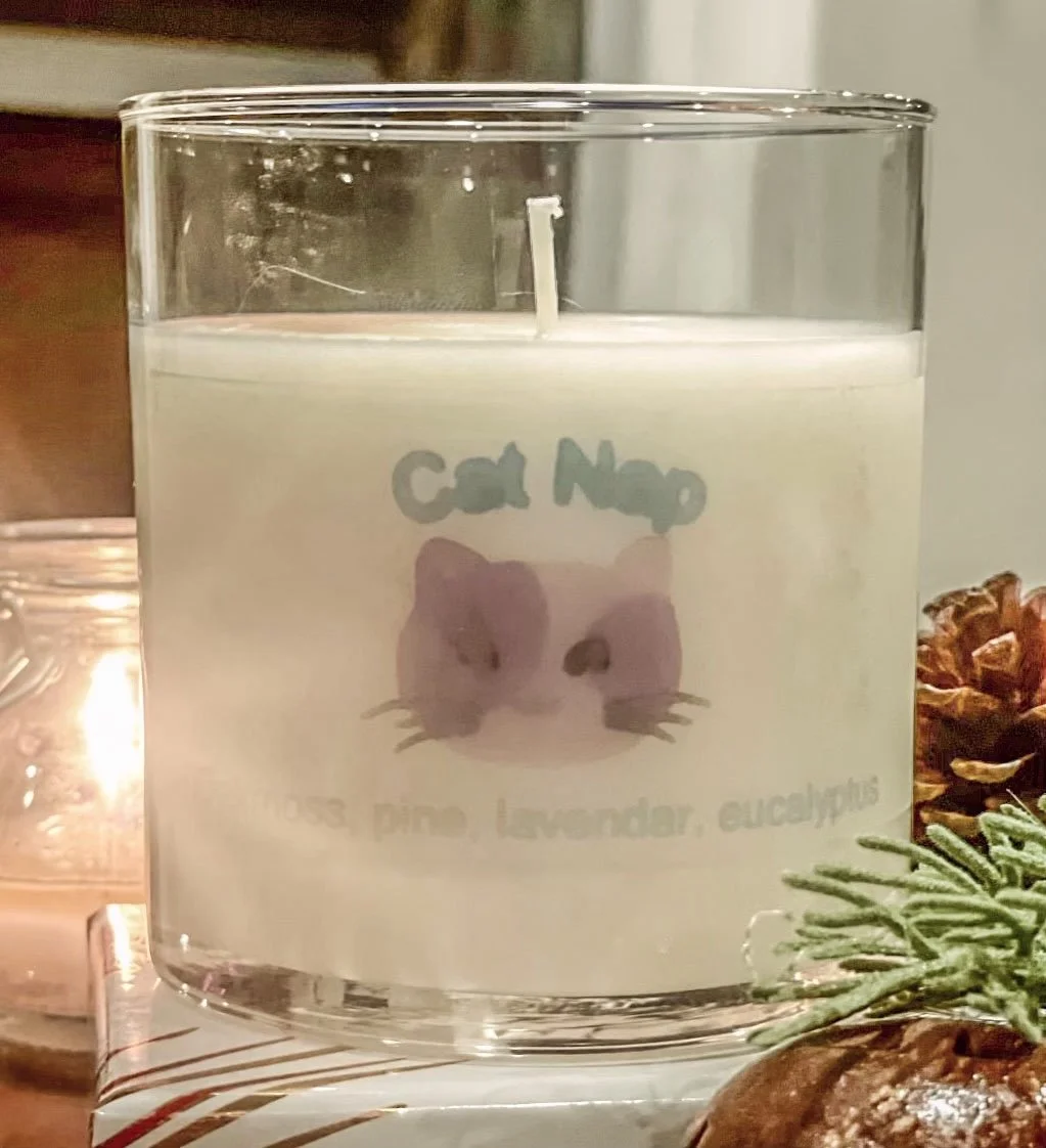 Cat Nap.jpg