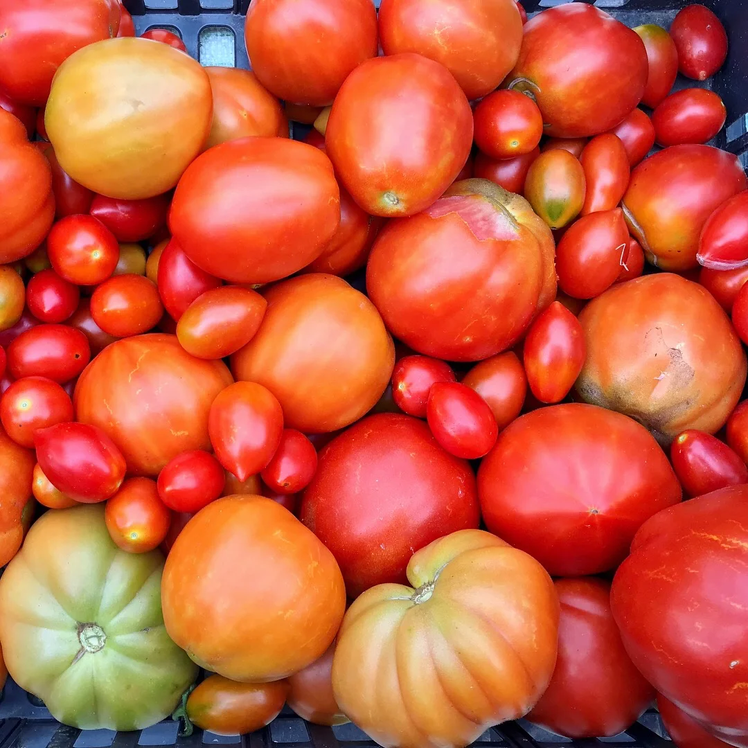 Exceptional catering, with a focus on local, seasonal produce