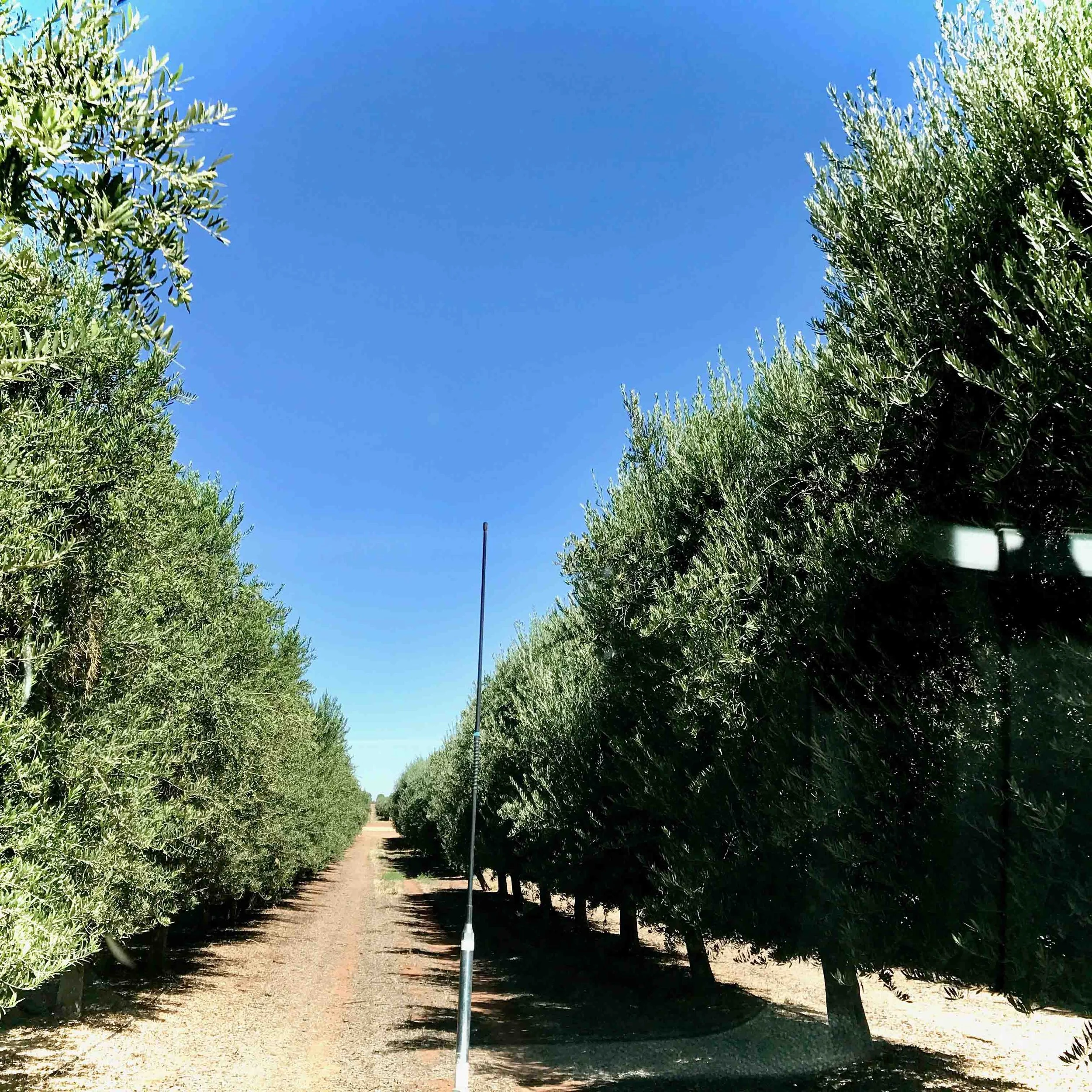 Rural and Remote Capabilities