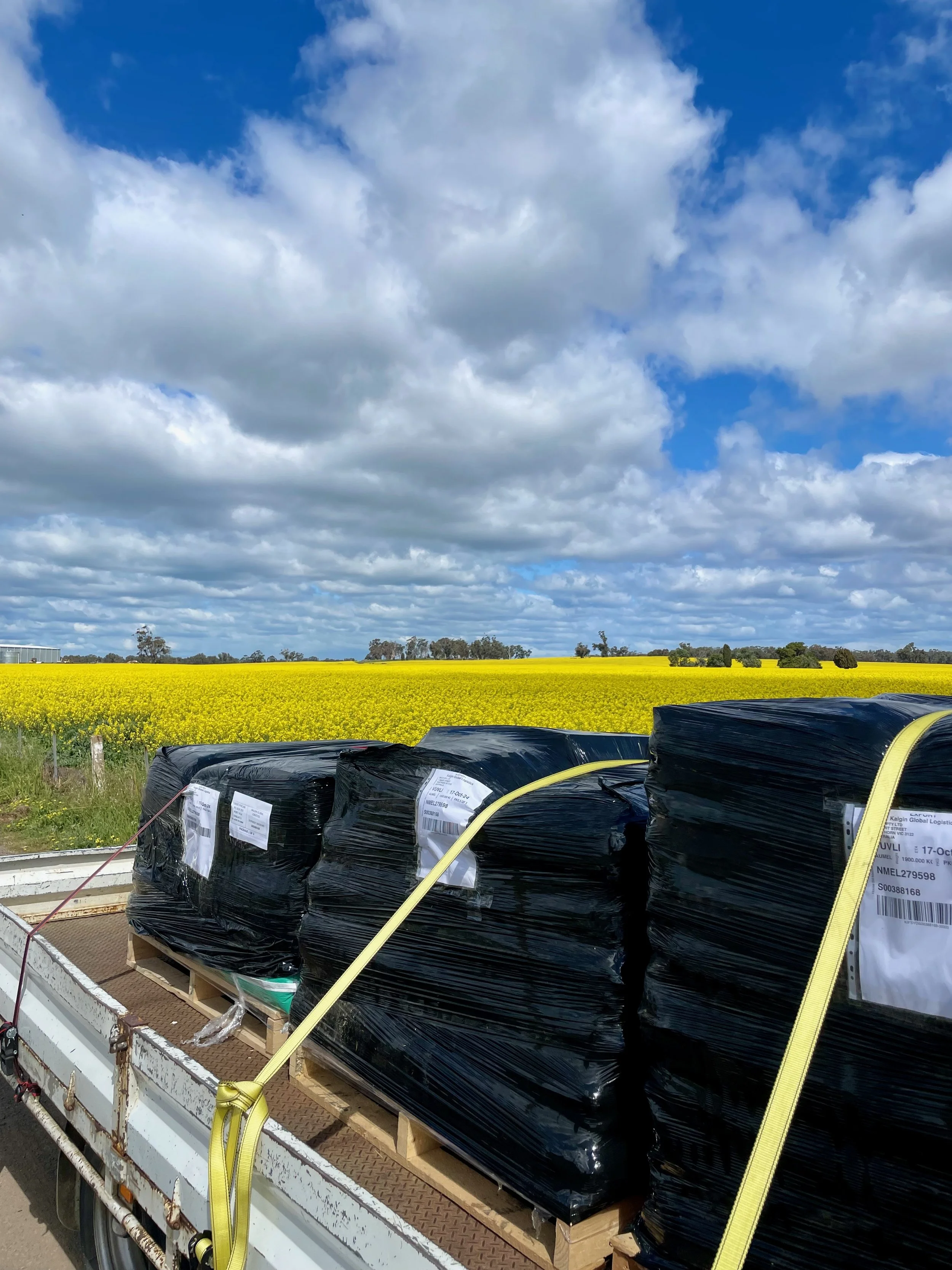 Rural and Industrial Procurement