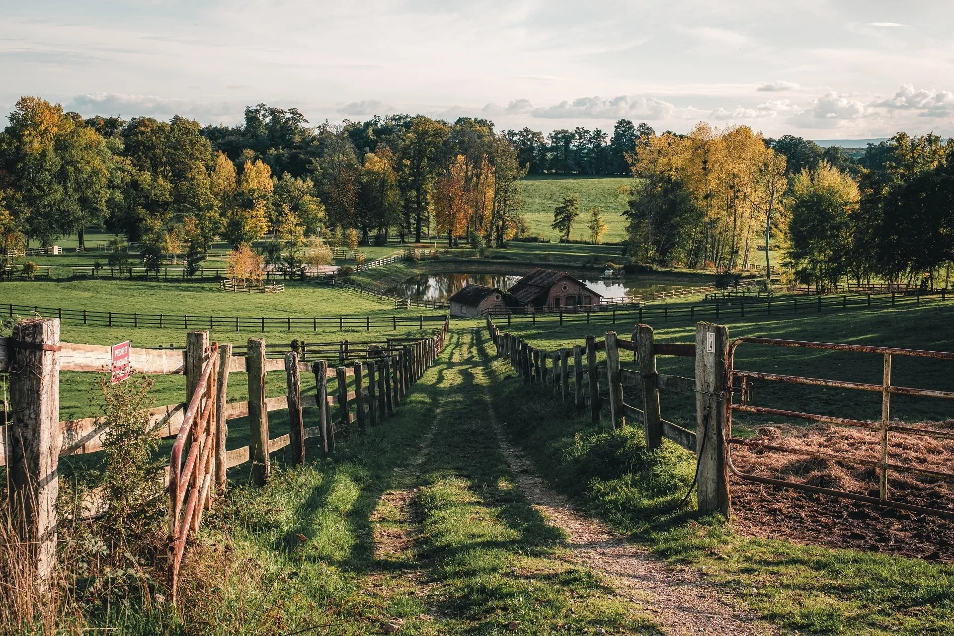 campagne-au-haras-du-pin-teddy-verneuil-orne-min.webp