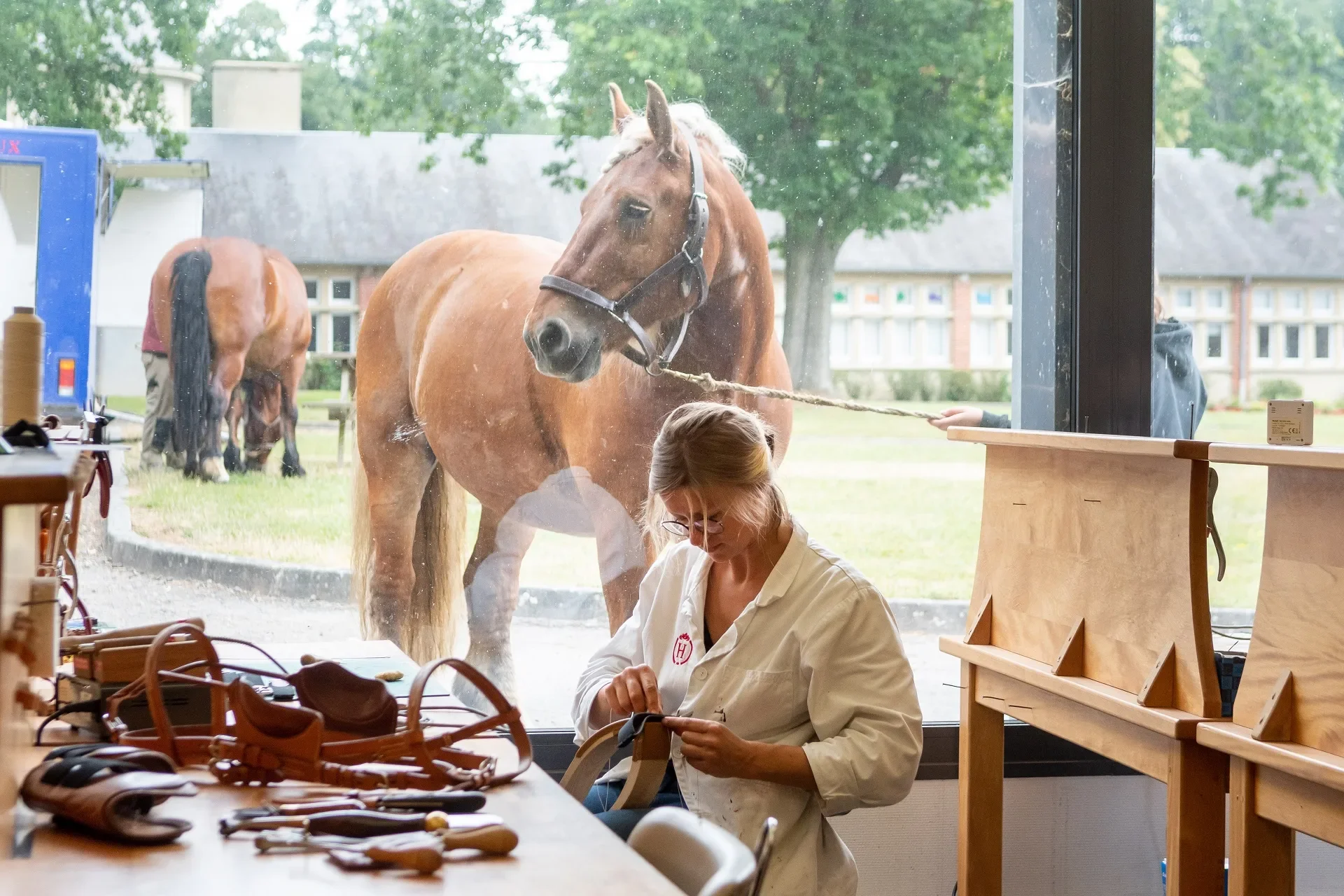 haras-du-pin-sellerie-cheval-orne.webp