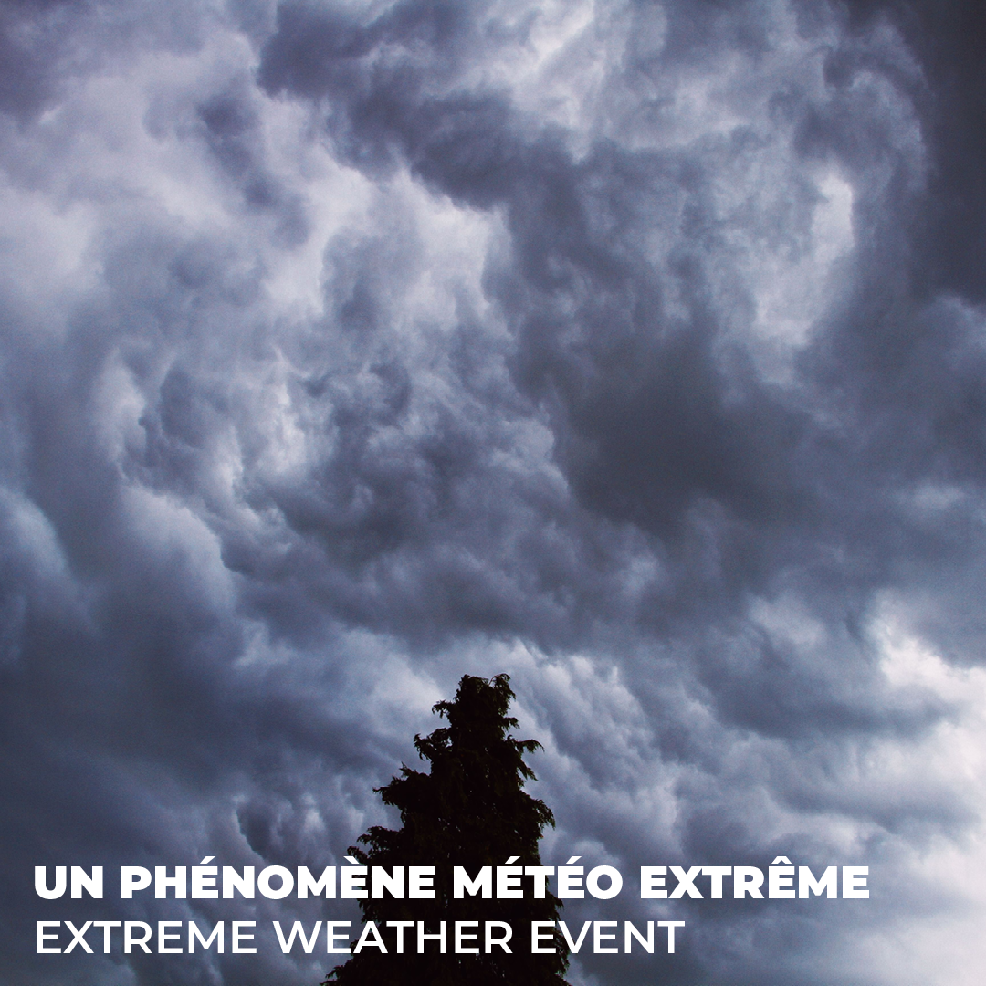 LCCN_2026_08_Climat_6.png