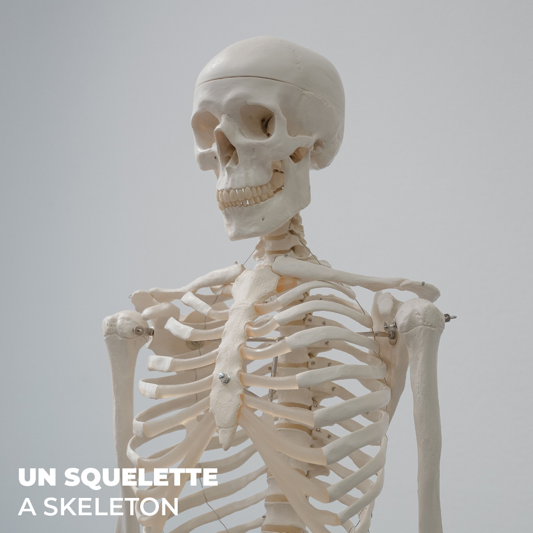 LCCN_2026_10_Halloween_8.png