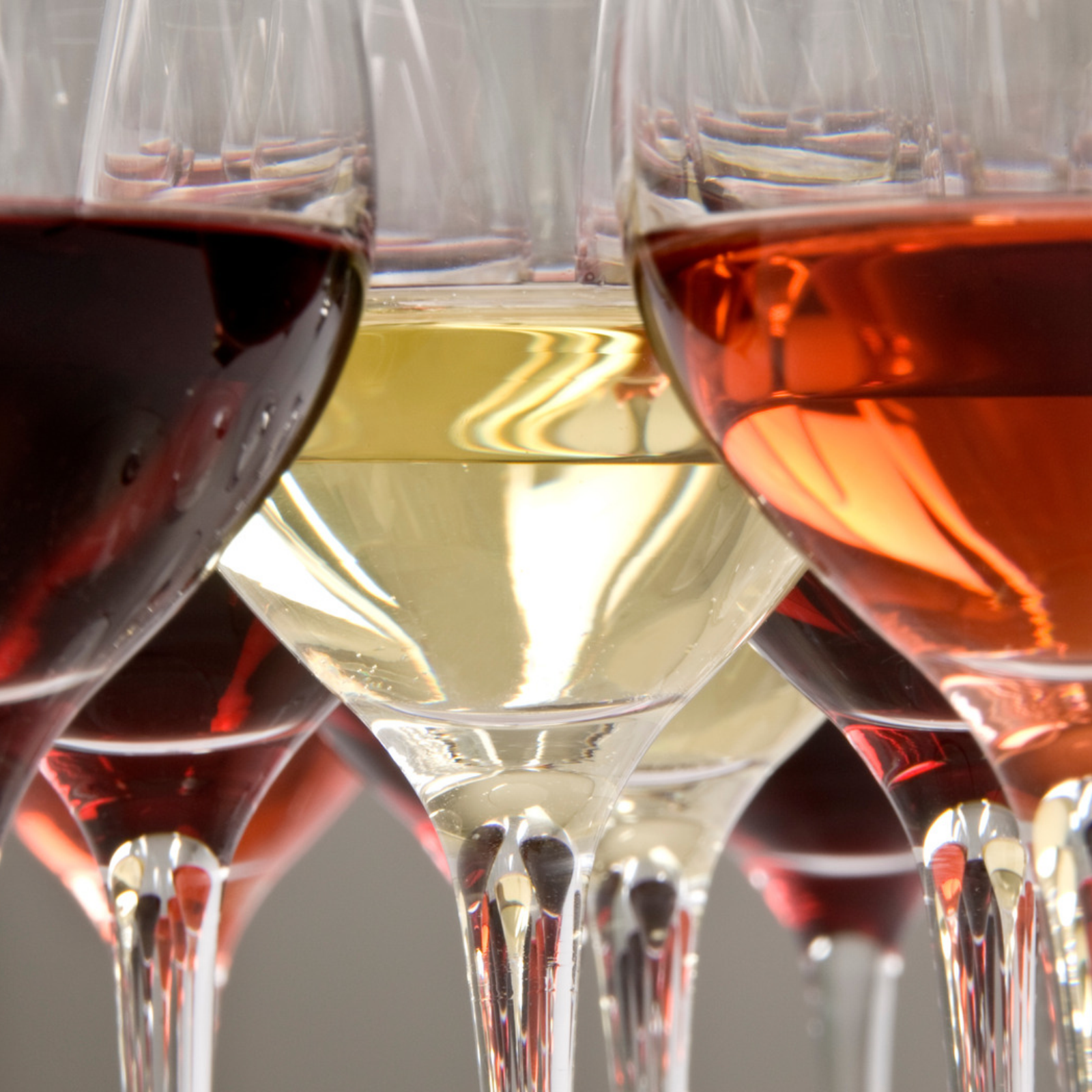 LIVE _ Events _ Wine dégustation 2026.png