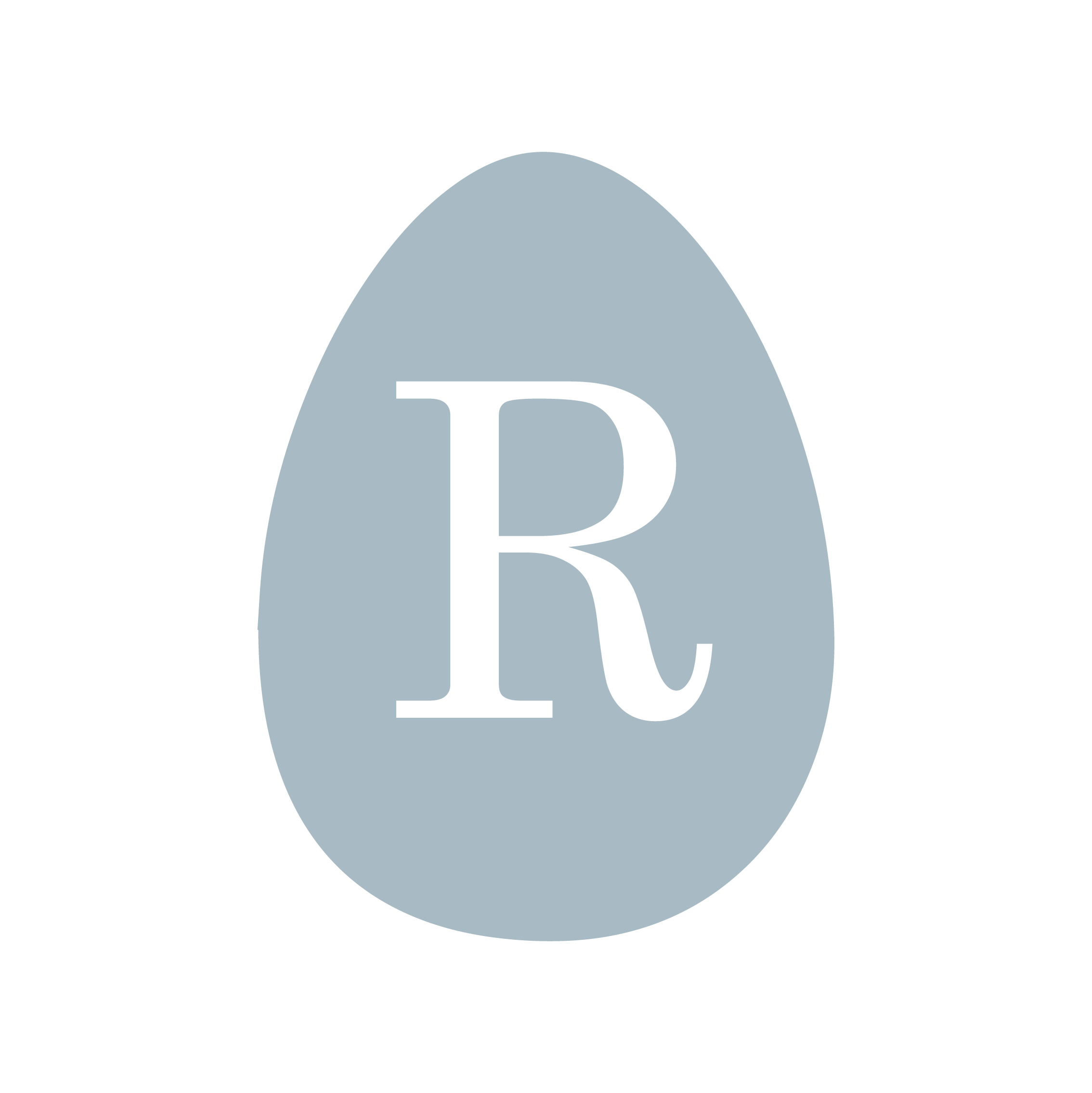 Absolute Beginner R.png