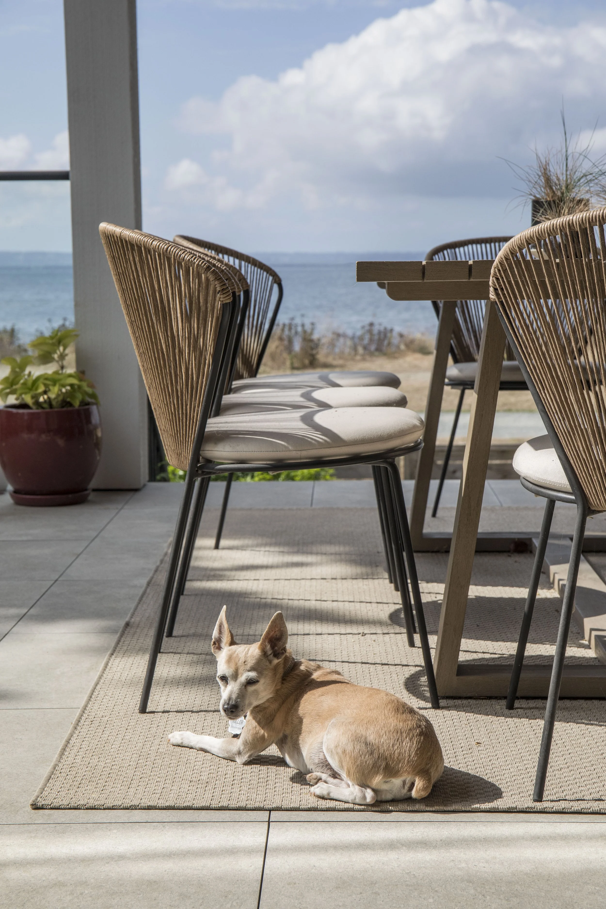 2670 O’Hara Lane CRESCENT BEACH-HIGH-38.JPG