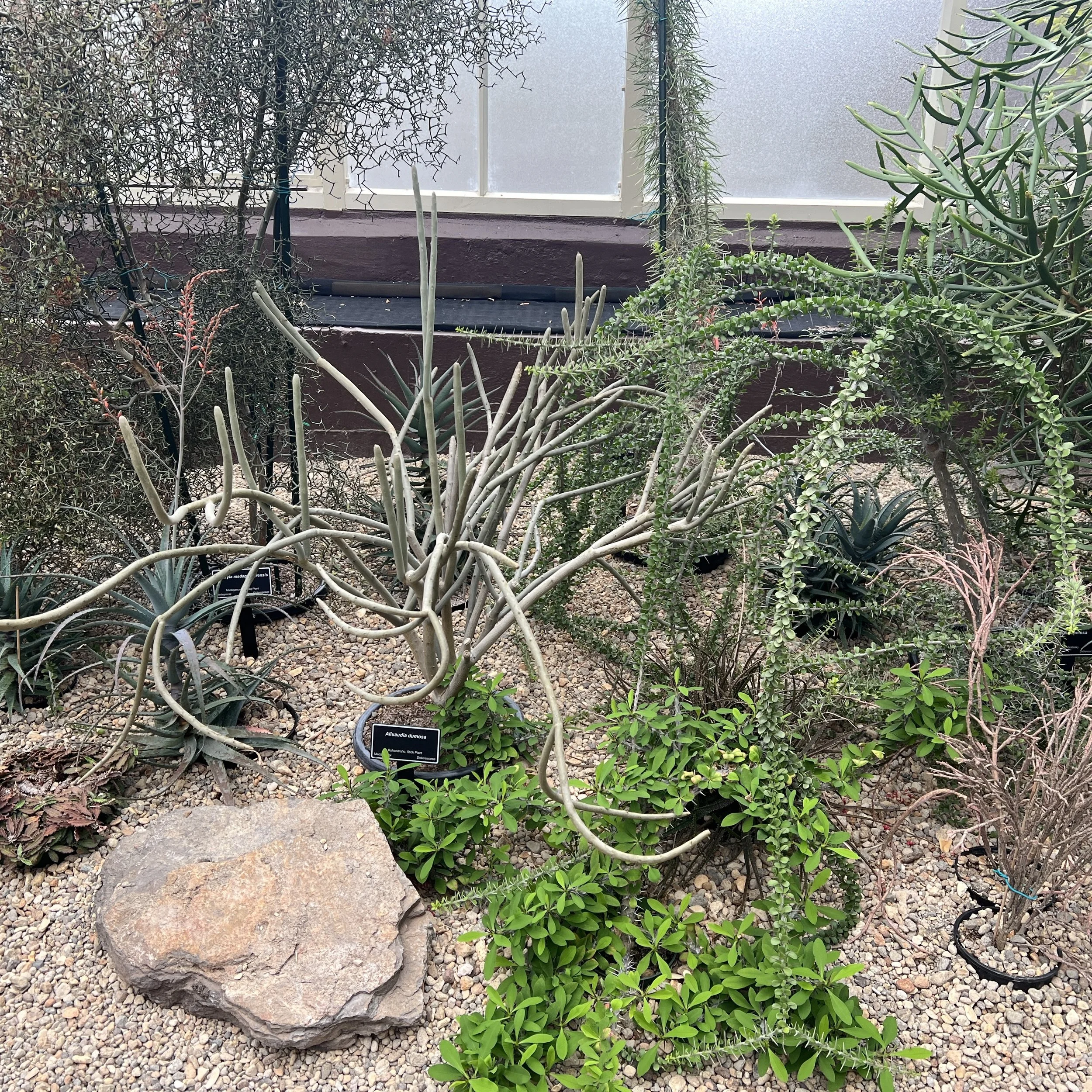 Post 39 - Preparation for summer seminar 2024