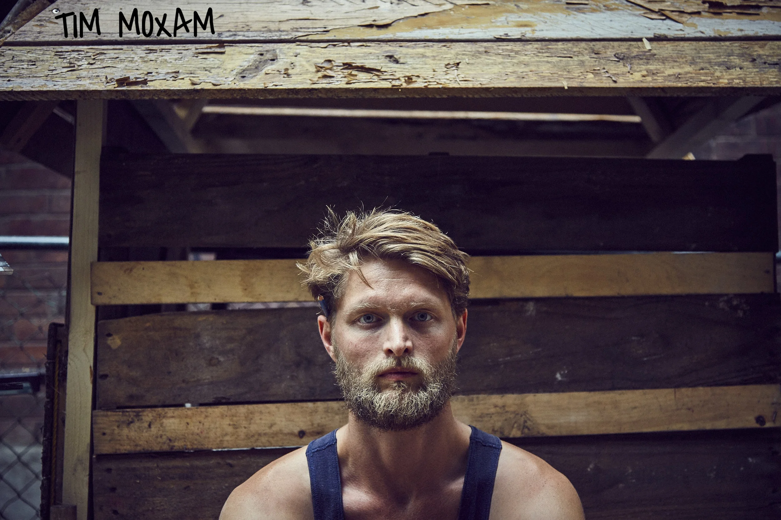 TimMoxam_Barn Boards_Colour_CreditJenSquires.jpg