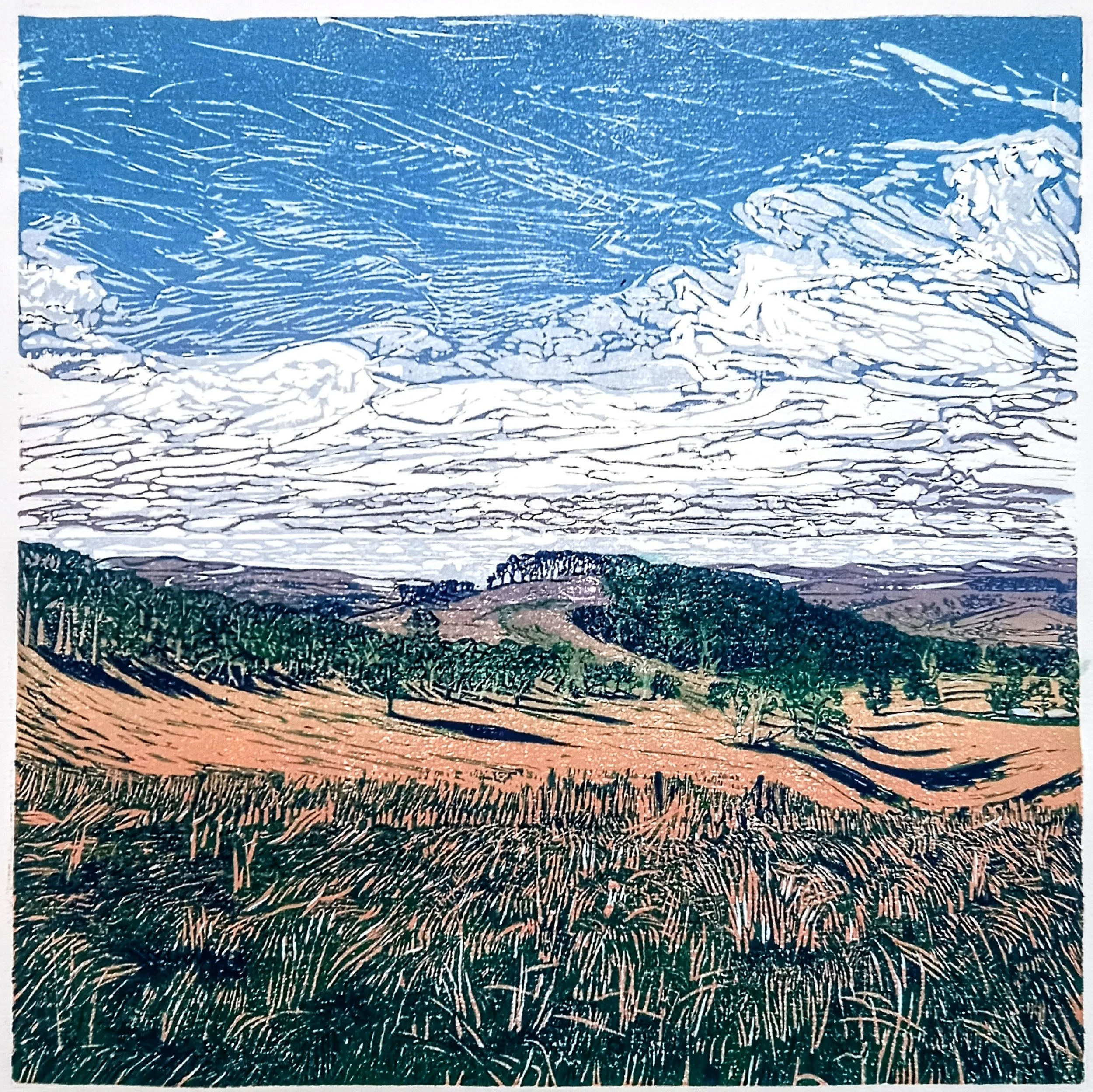 "Kingdoms III" 39x42cm unique print reduction linocut on fabriano- available via @walchagalleryofart $1100