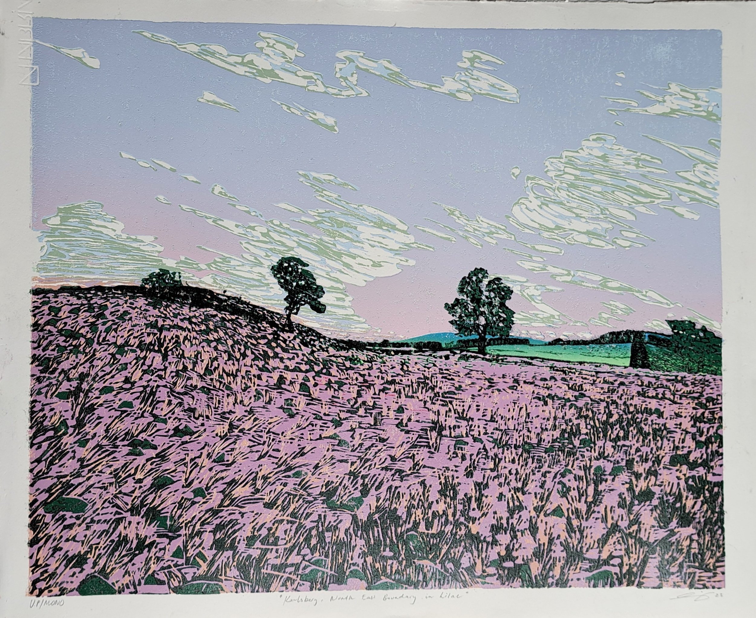 "Karlsberg, North-East Boundary in Lilac" available