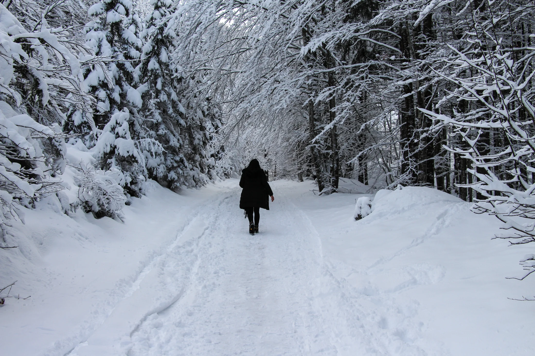 Travel Guide | Kranjska Gora Planica