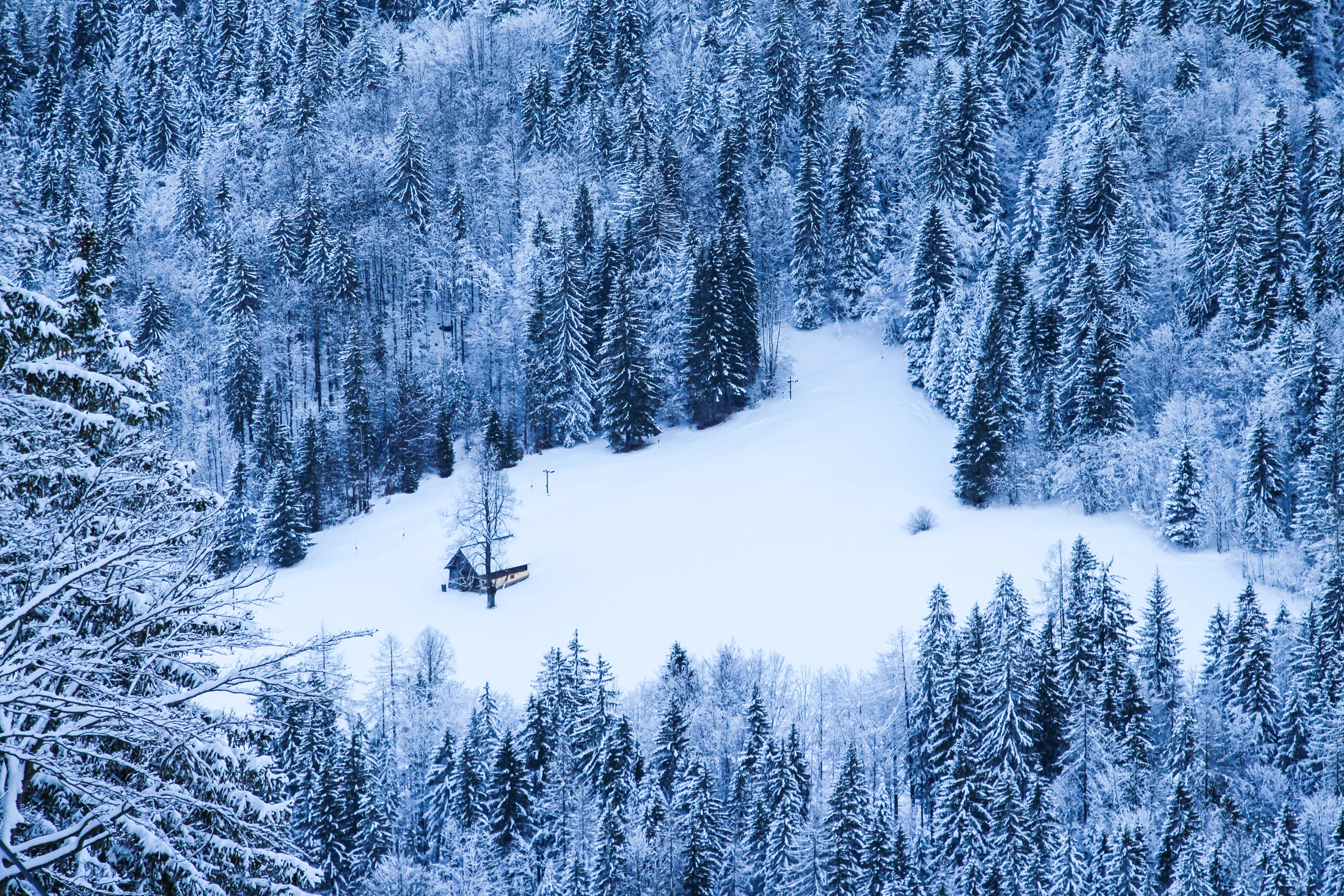 Kranjska Gora | View from the top
