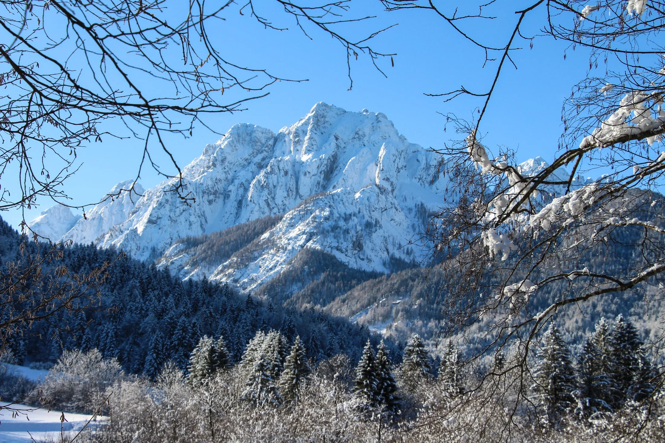 Kranjska Gora | Zelenci