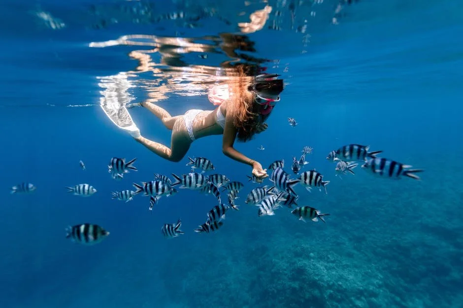 The Intersection of Surf Culture and Marine Life Photography