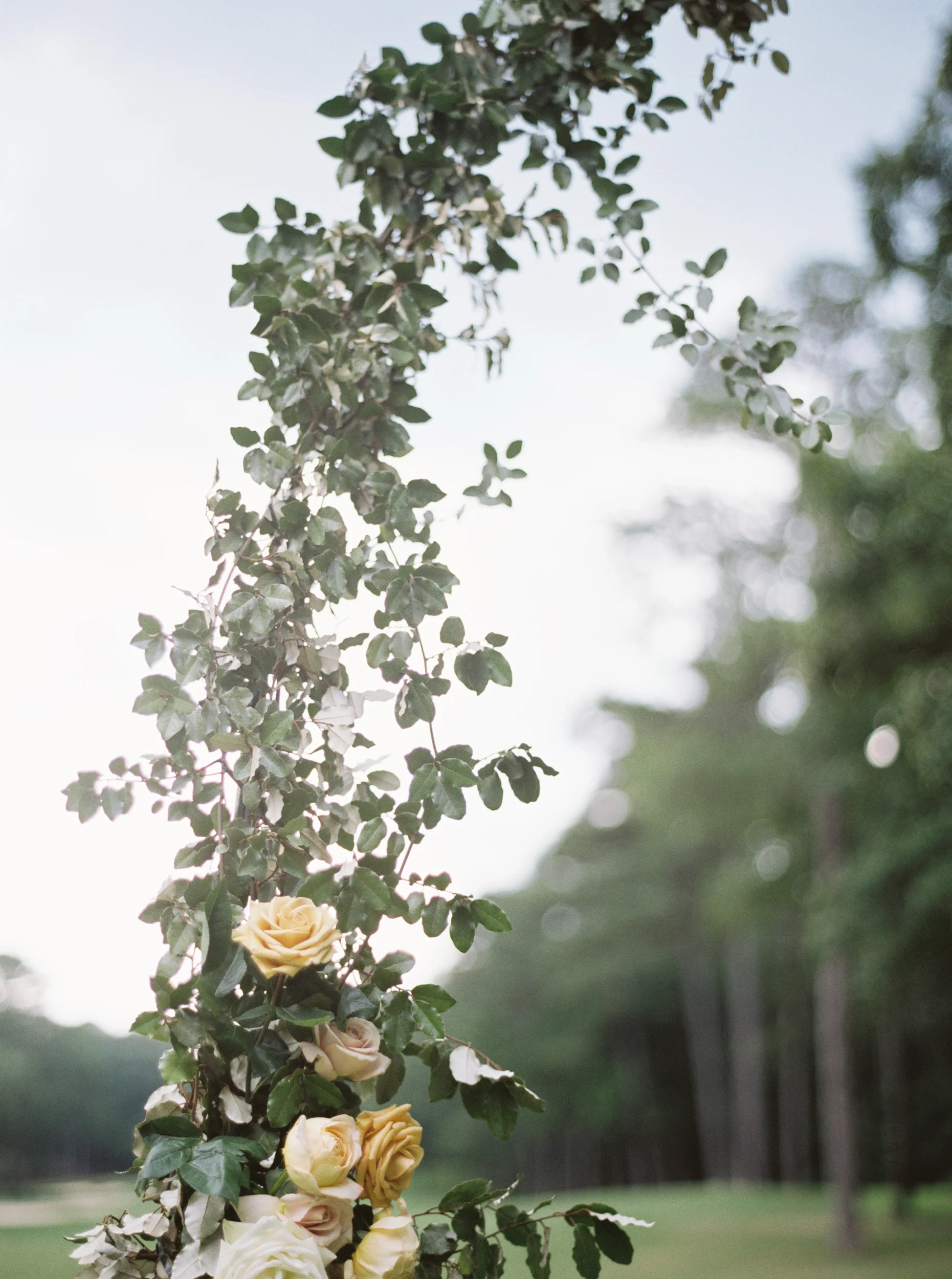 untitled (9 of 32).jpg