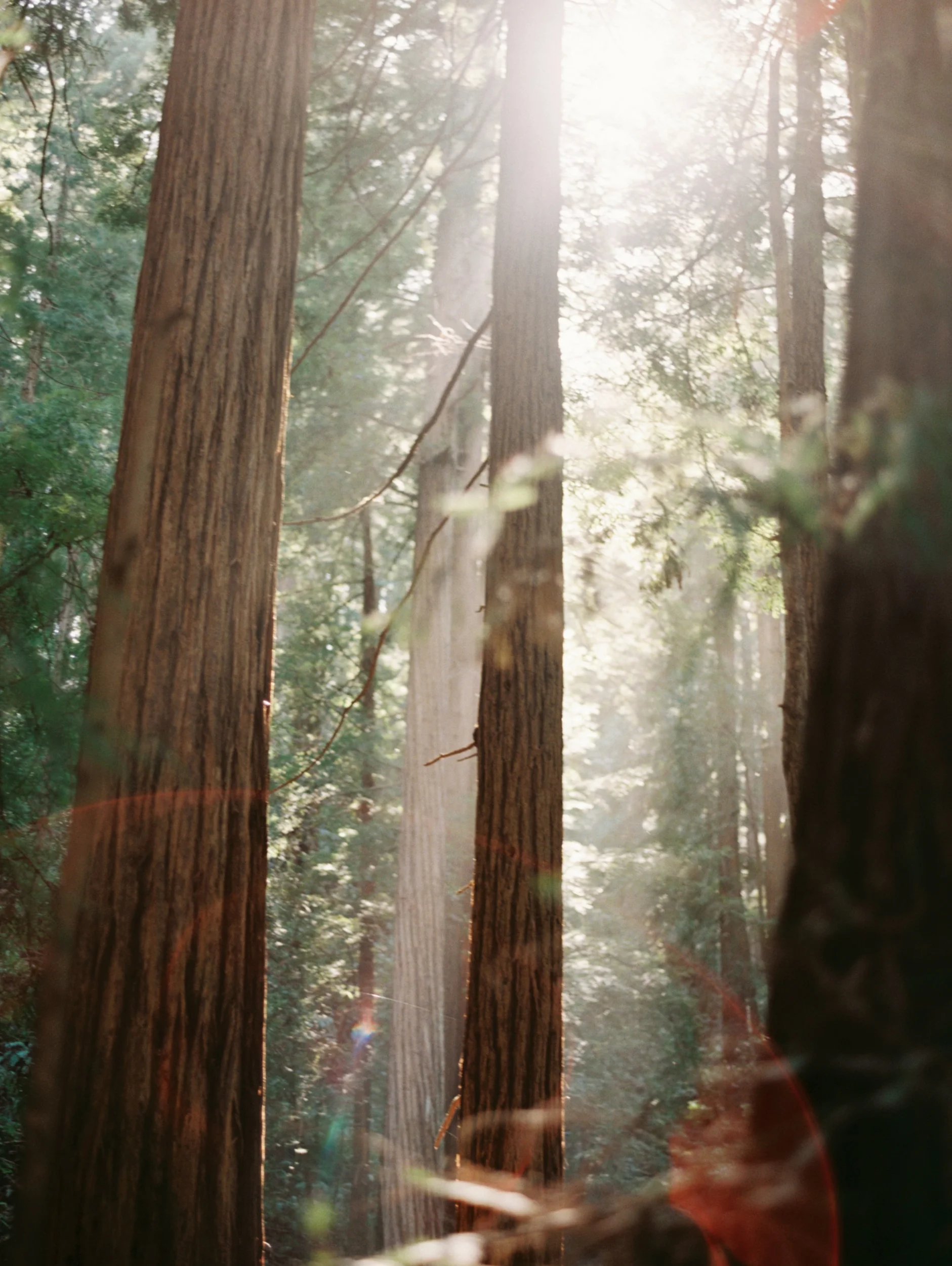 untitled (20 of 27).jpg
