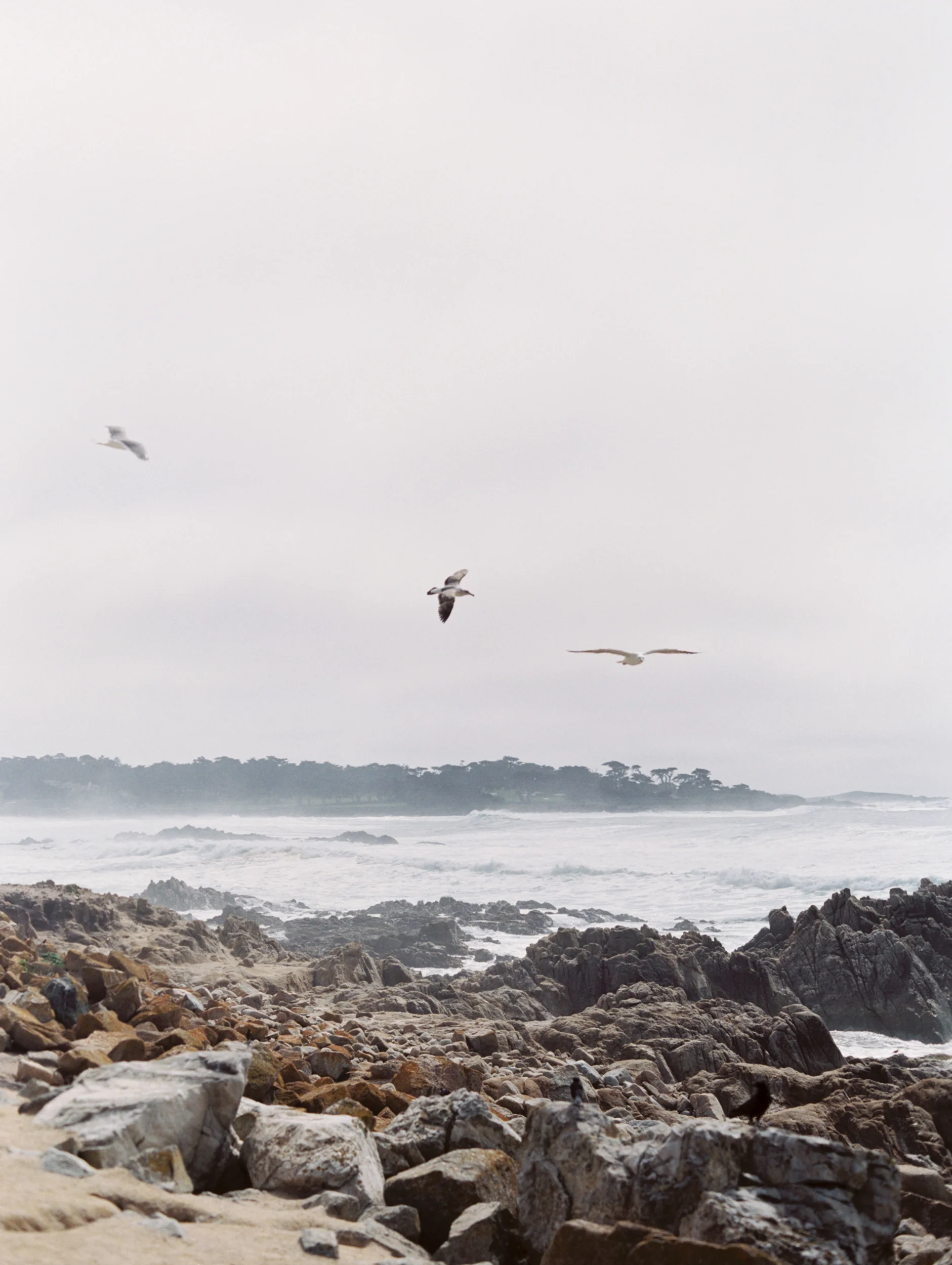 untitled (23 of 27).jpg