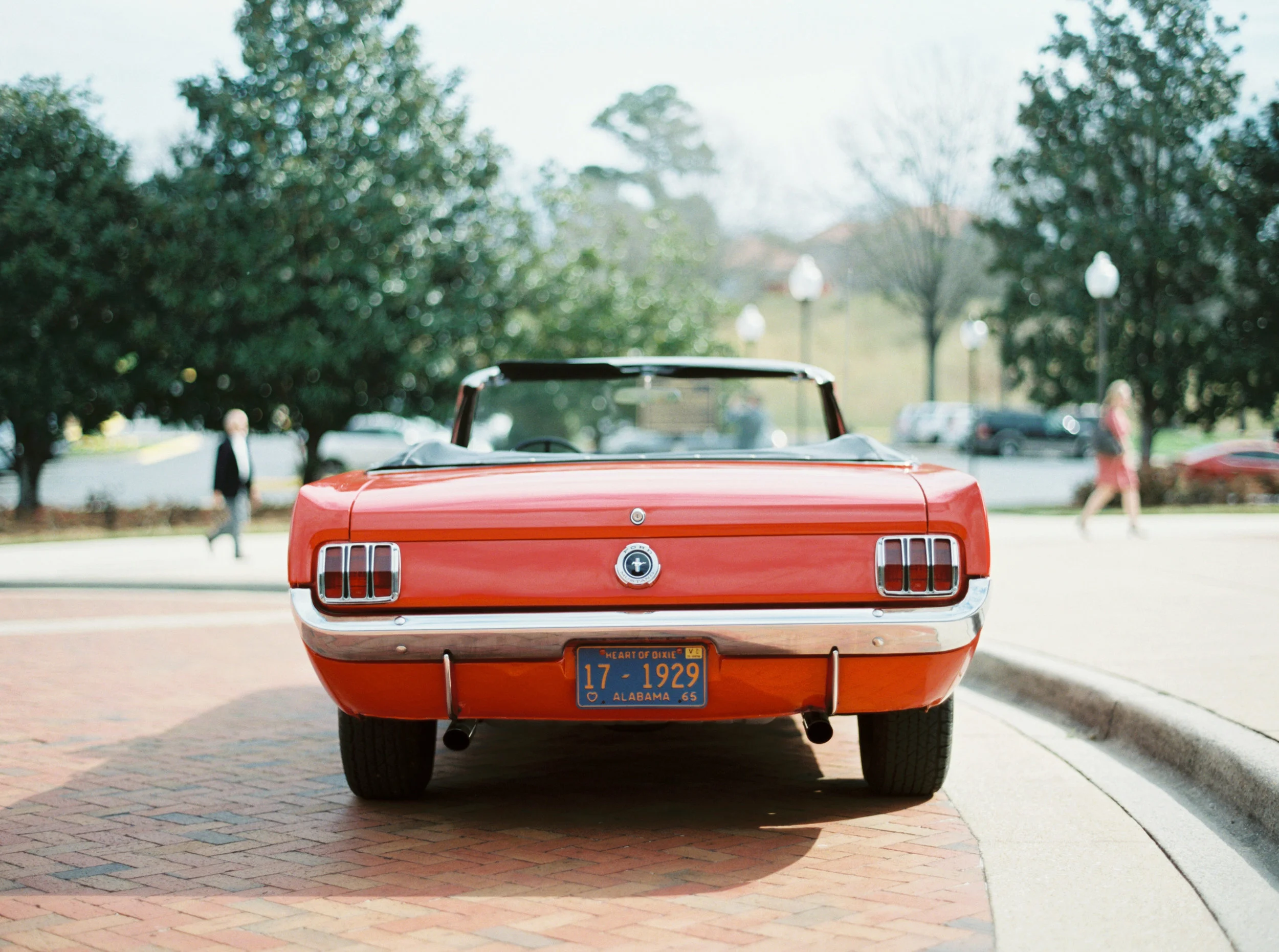 untitled (60 of 117).jpg