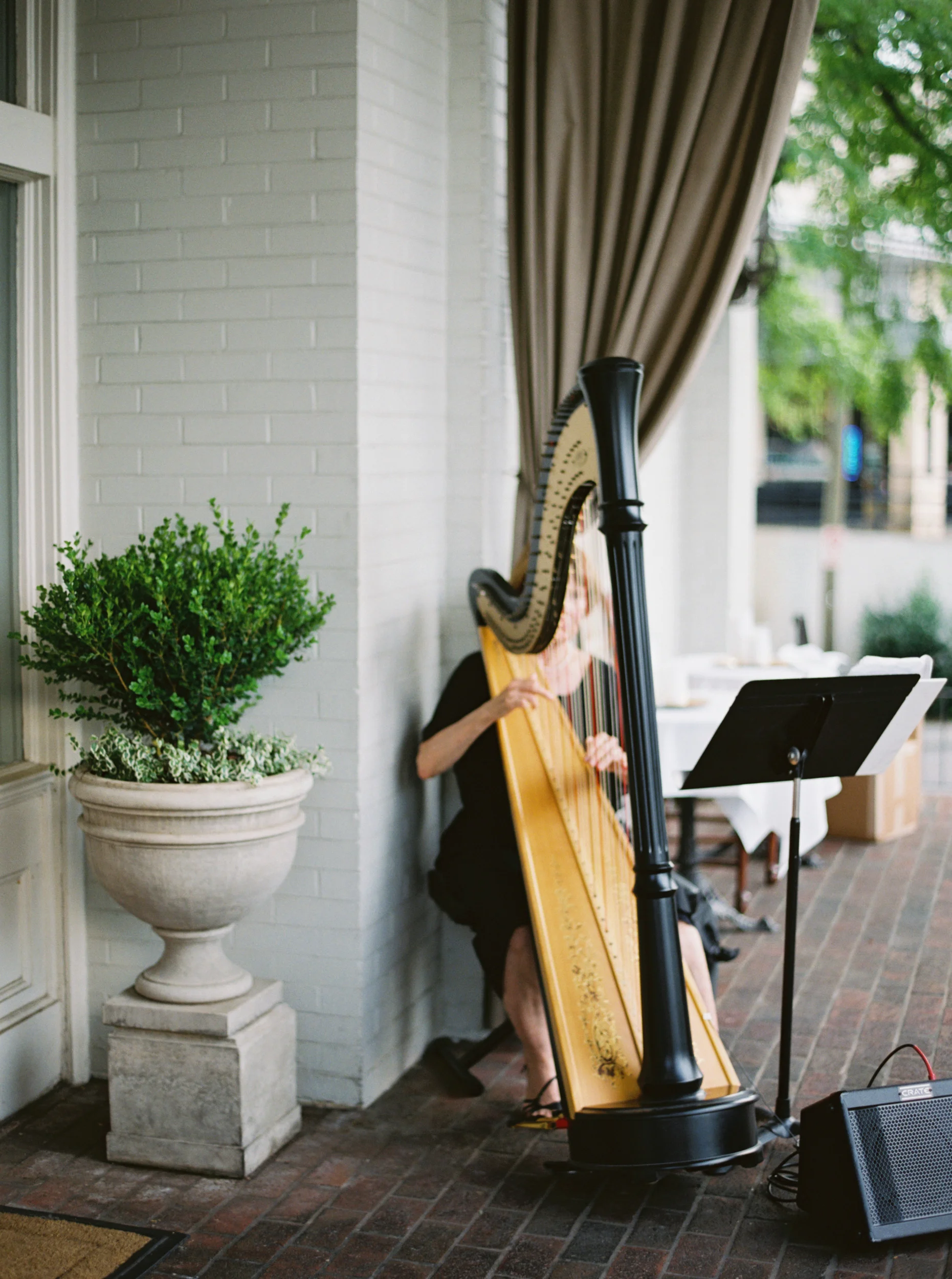 untitled (38 of 67).jpg