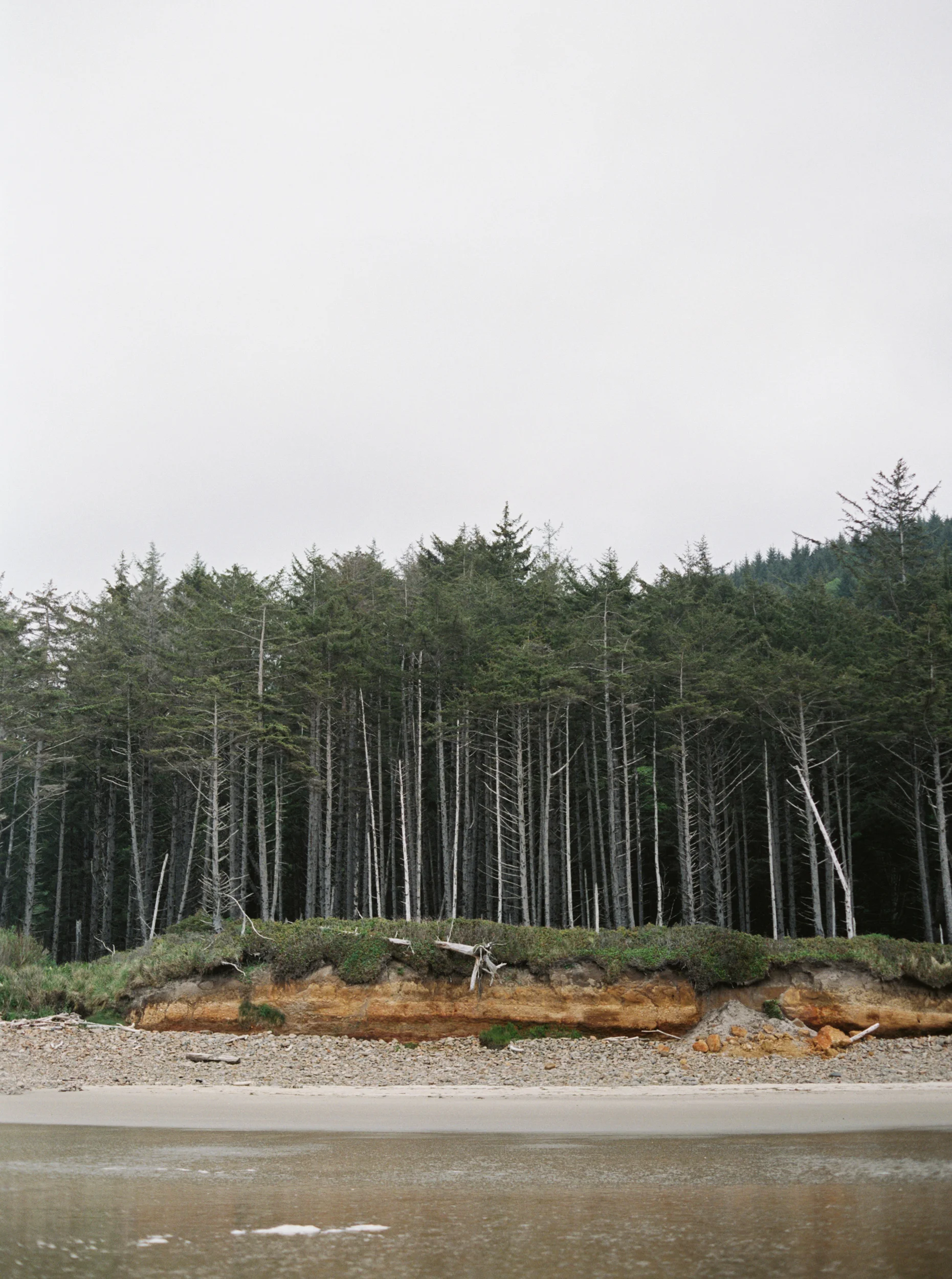 untitled (6 of 27).jpg