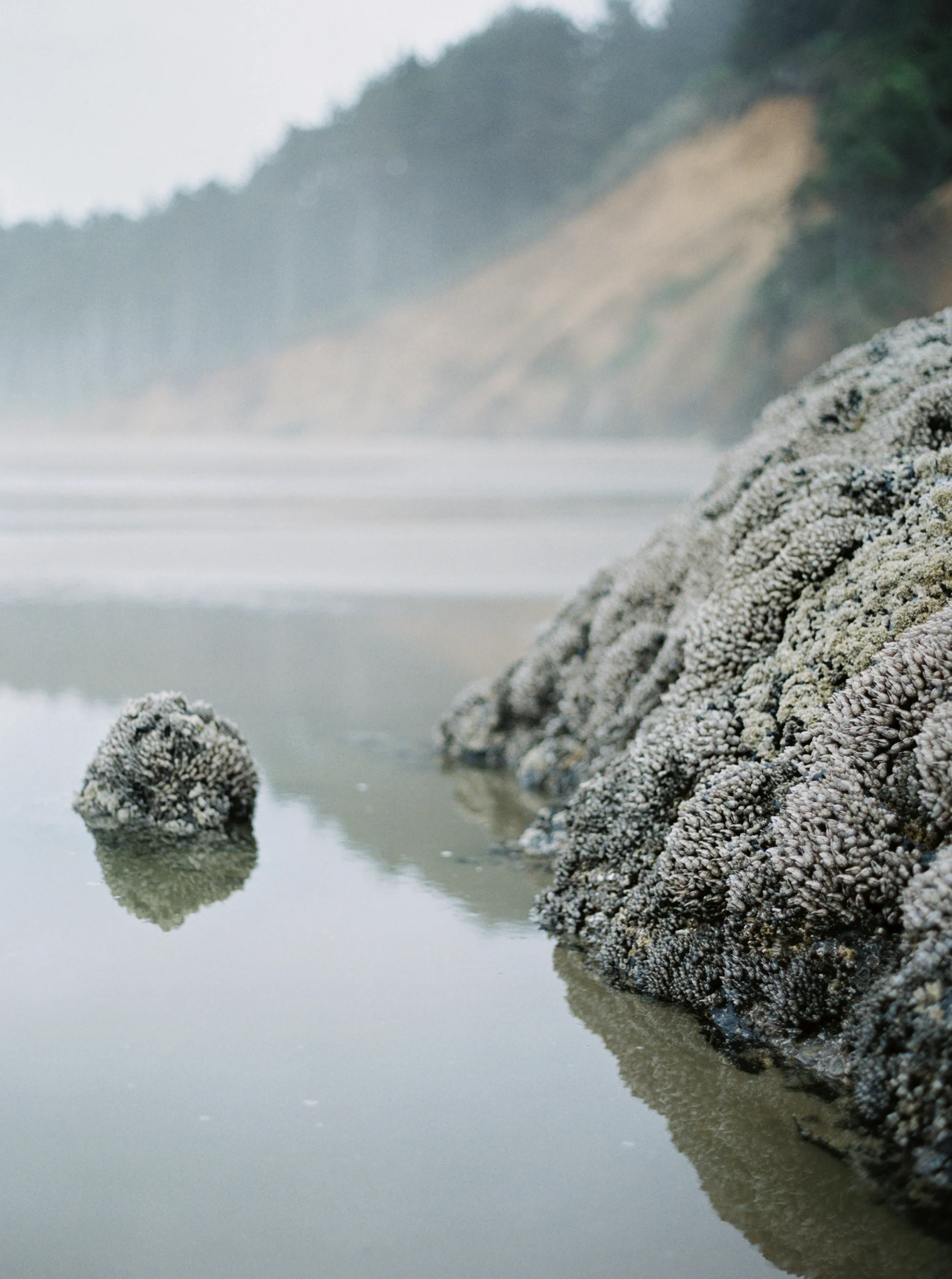 untitled (8 of 27).jpg