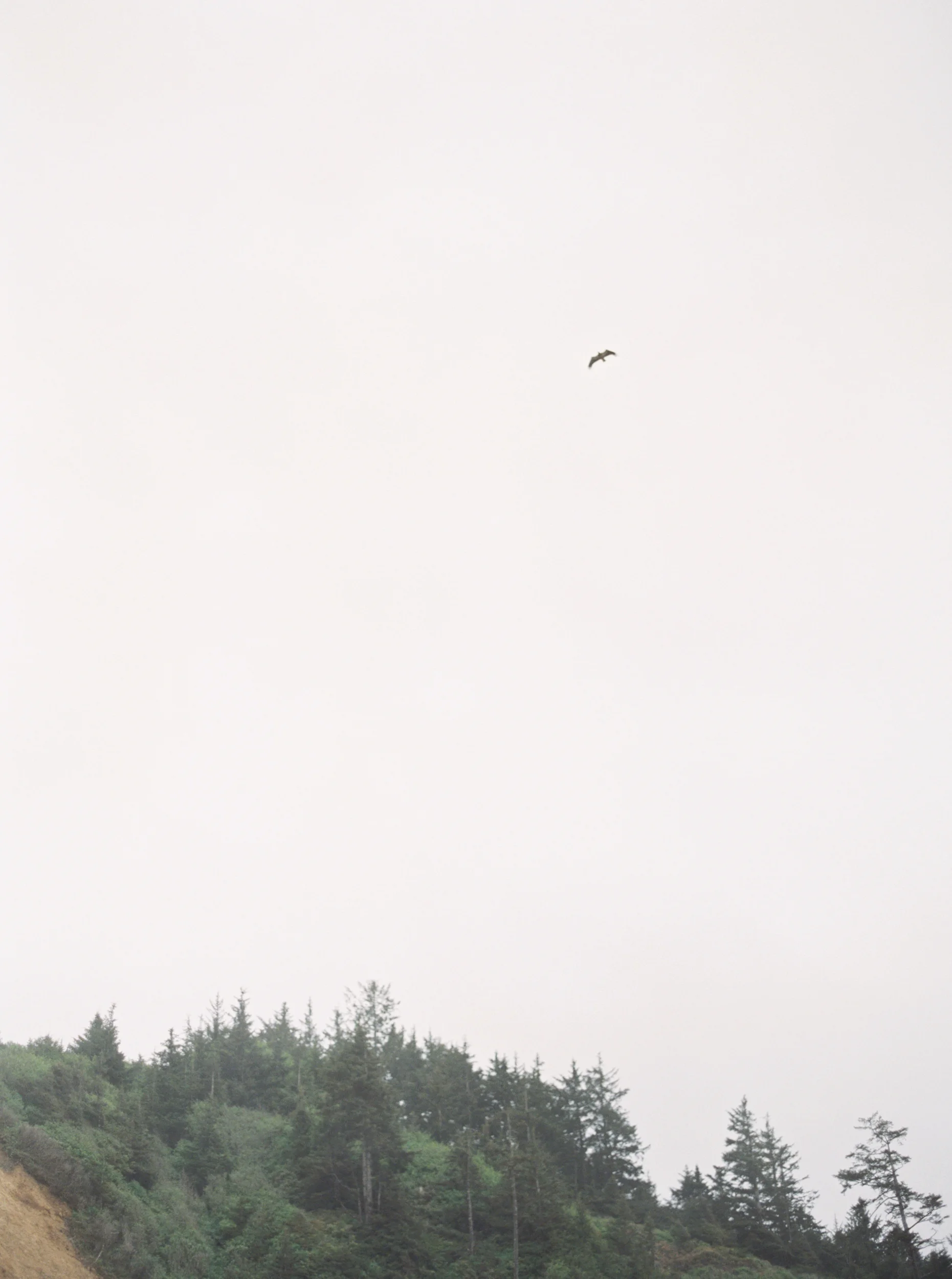 untitled (23 of 27).jpg