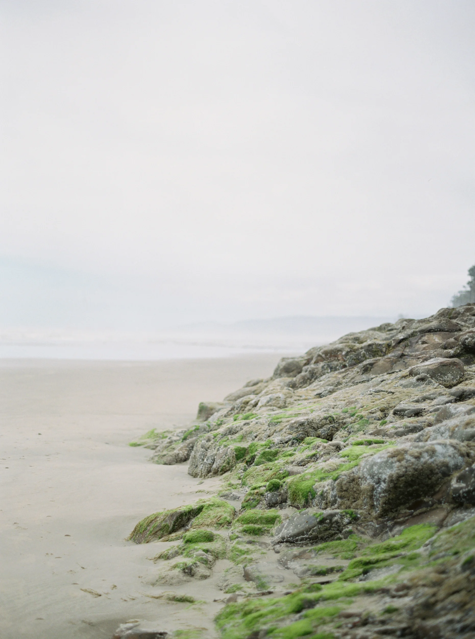 untitled (25 of 27).jpg