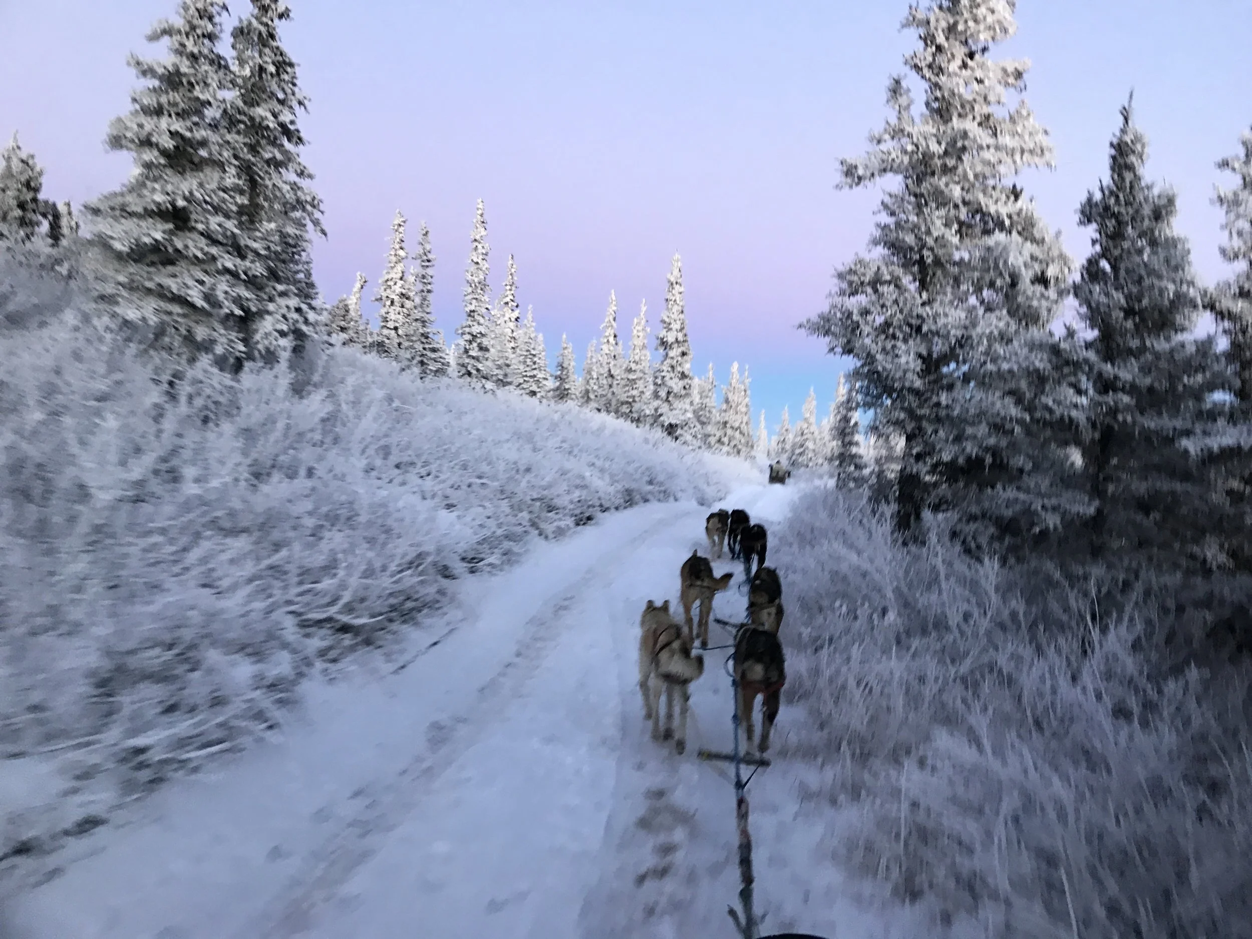 First Time on the Sled This Season