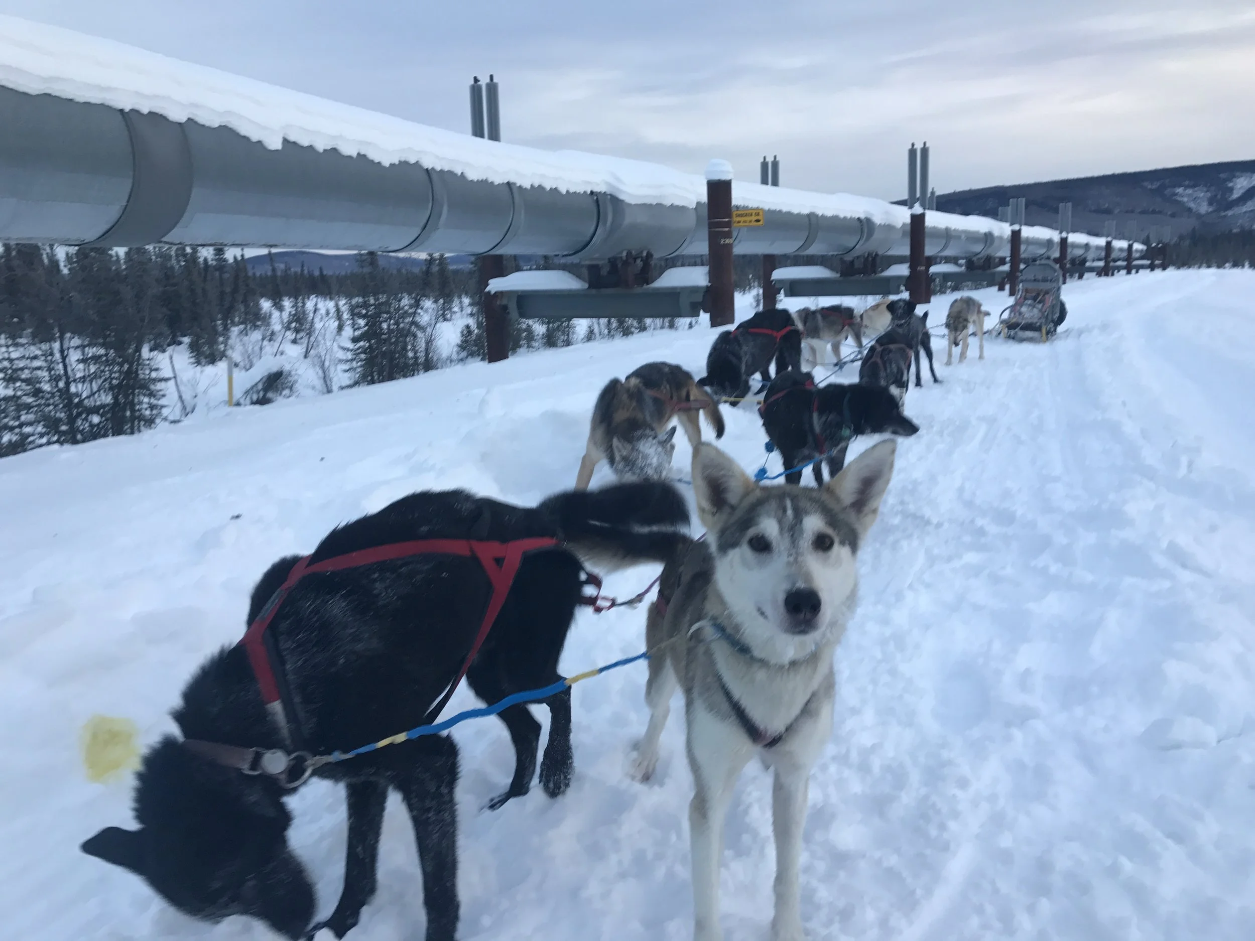 Two Days Before my First Race