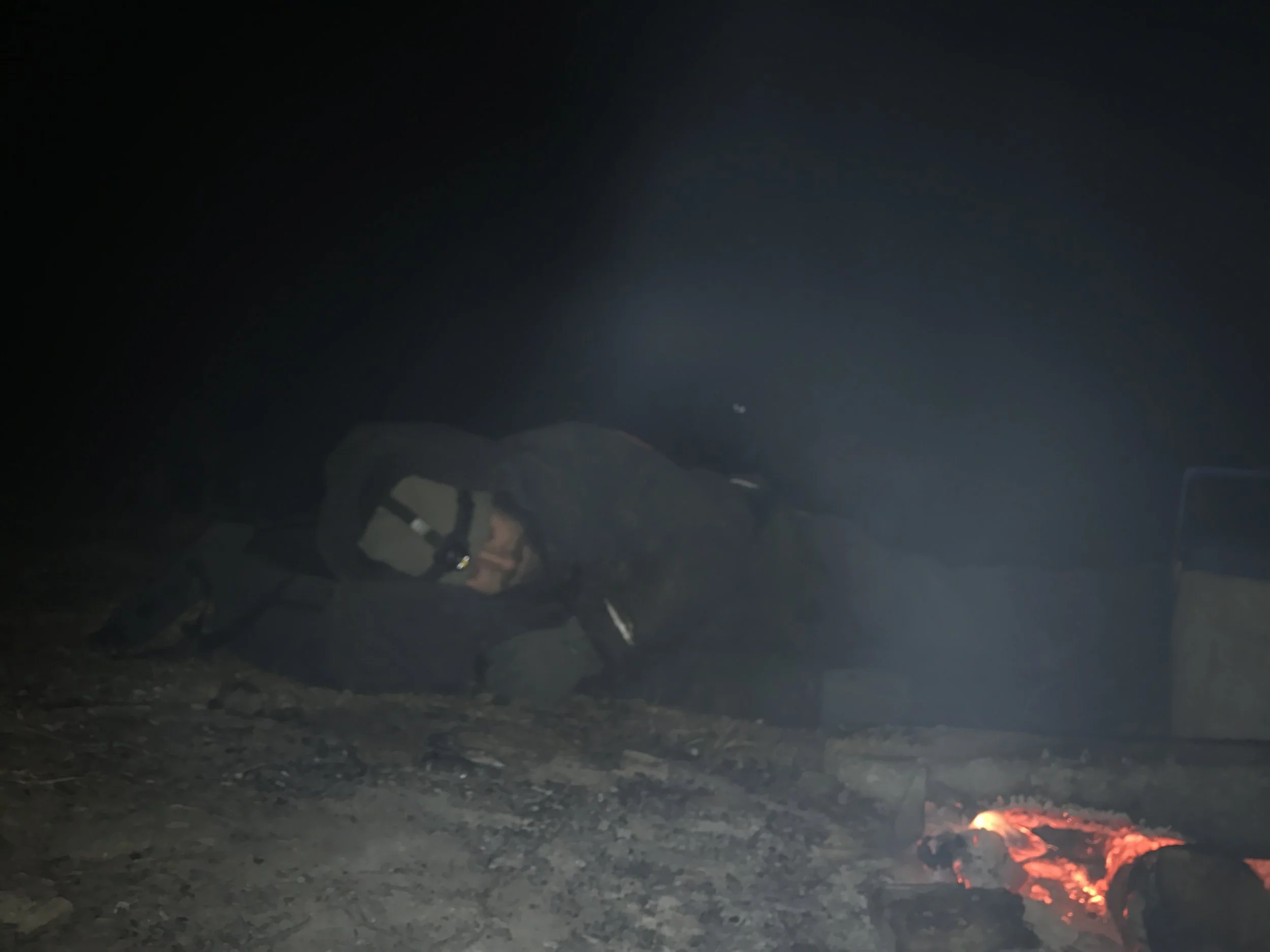 Dog Sledding is Hard