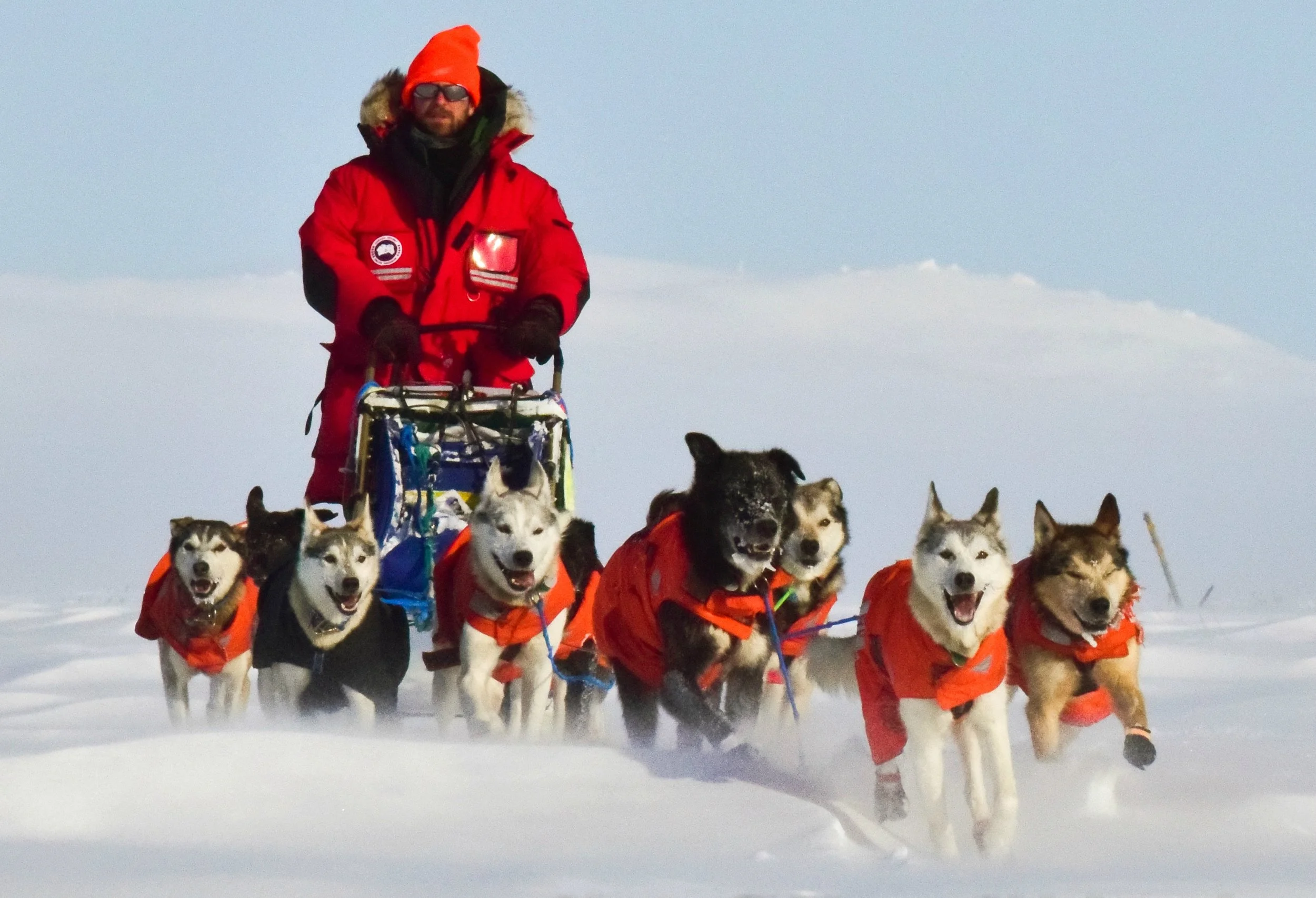 Iditarod