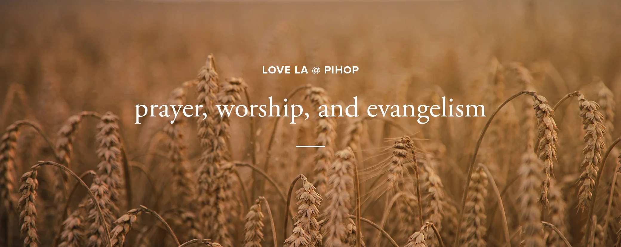 outreach banner.jpg