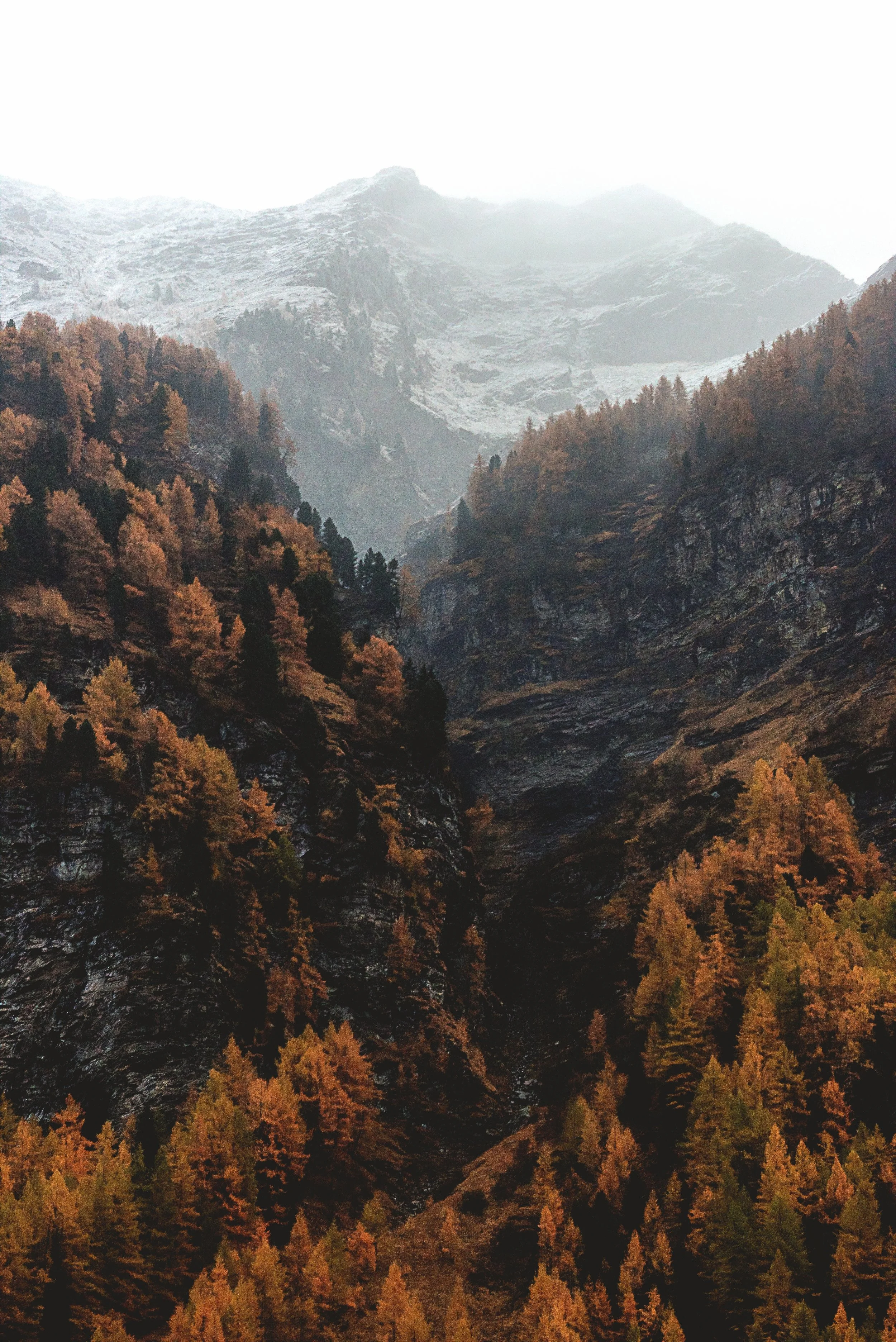 eberhard-grossgasteiger-421475-unsplash.jpg